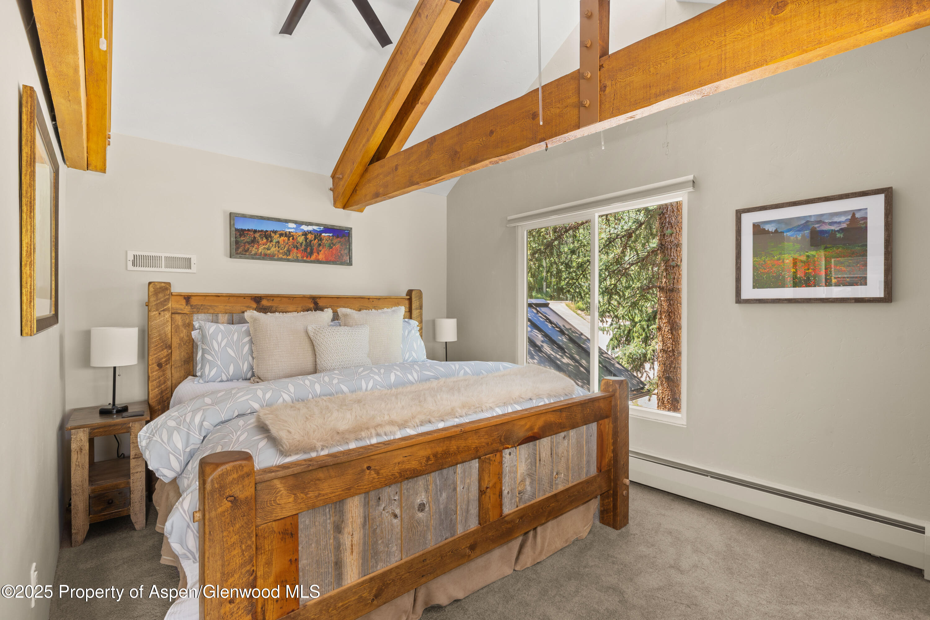 215 Maple Ridge Lane Snowmass Village CO 81615