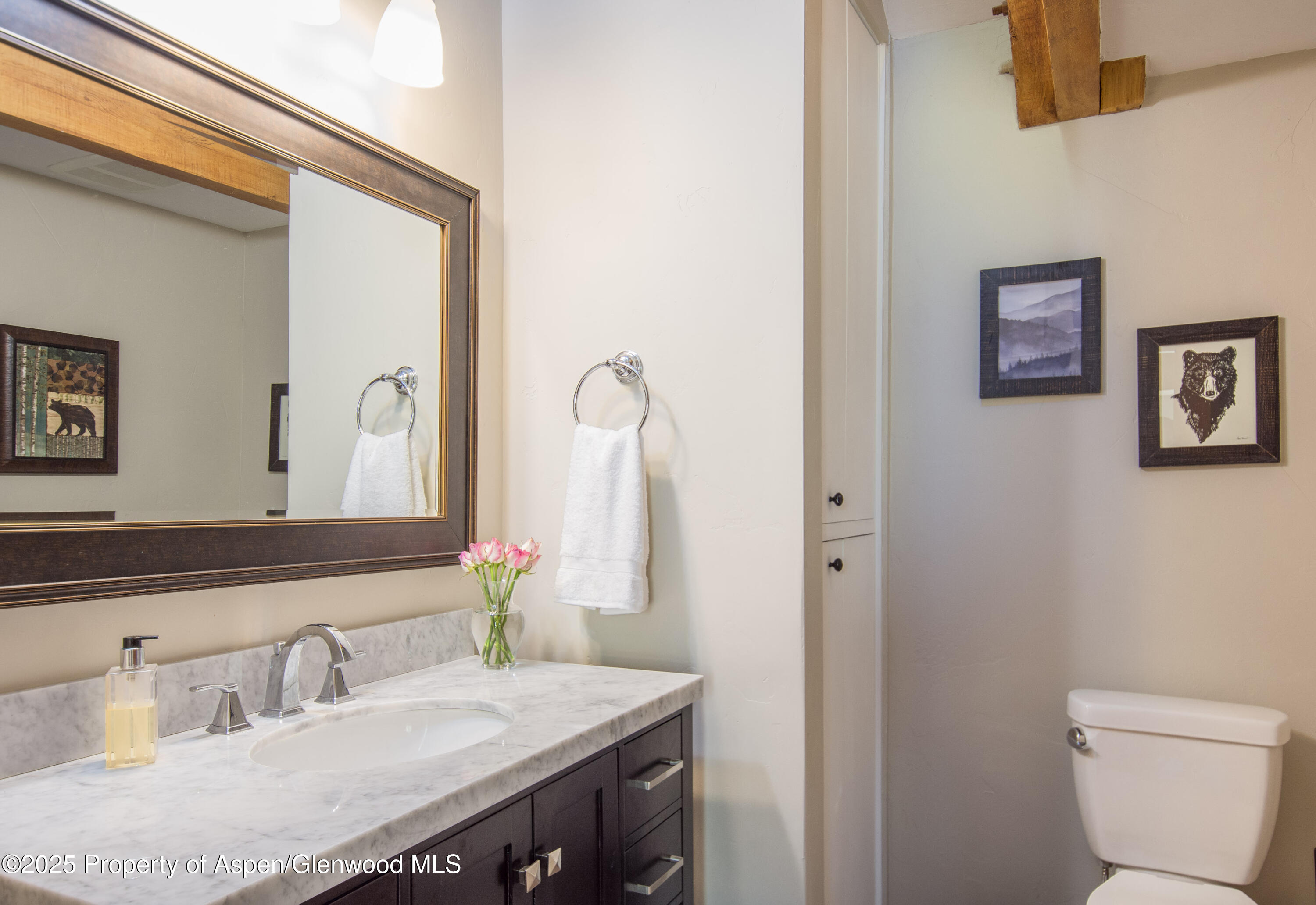 215 Maple Ridge Lane Snowmass Village CO 81615