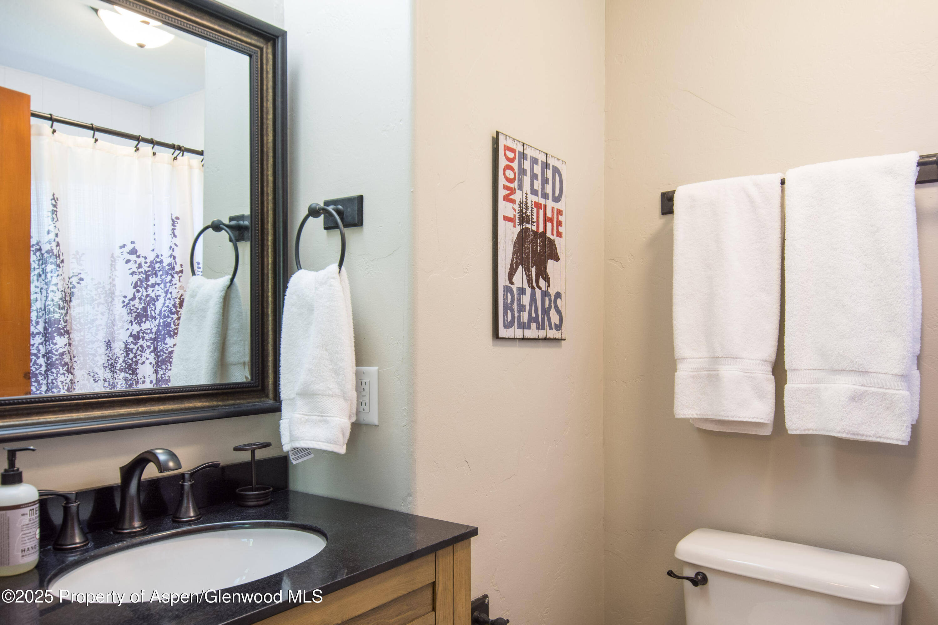 215 Maple Ridge Lane Snowmass Village CO 81615