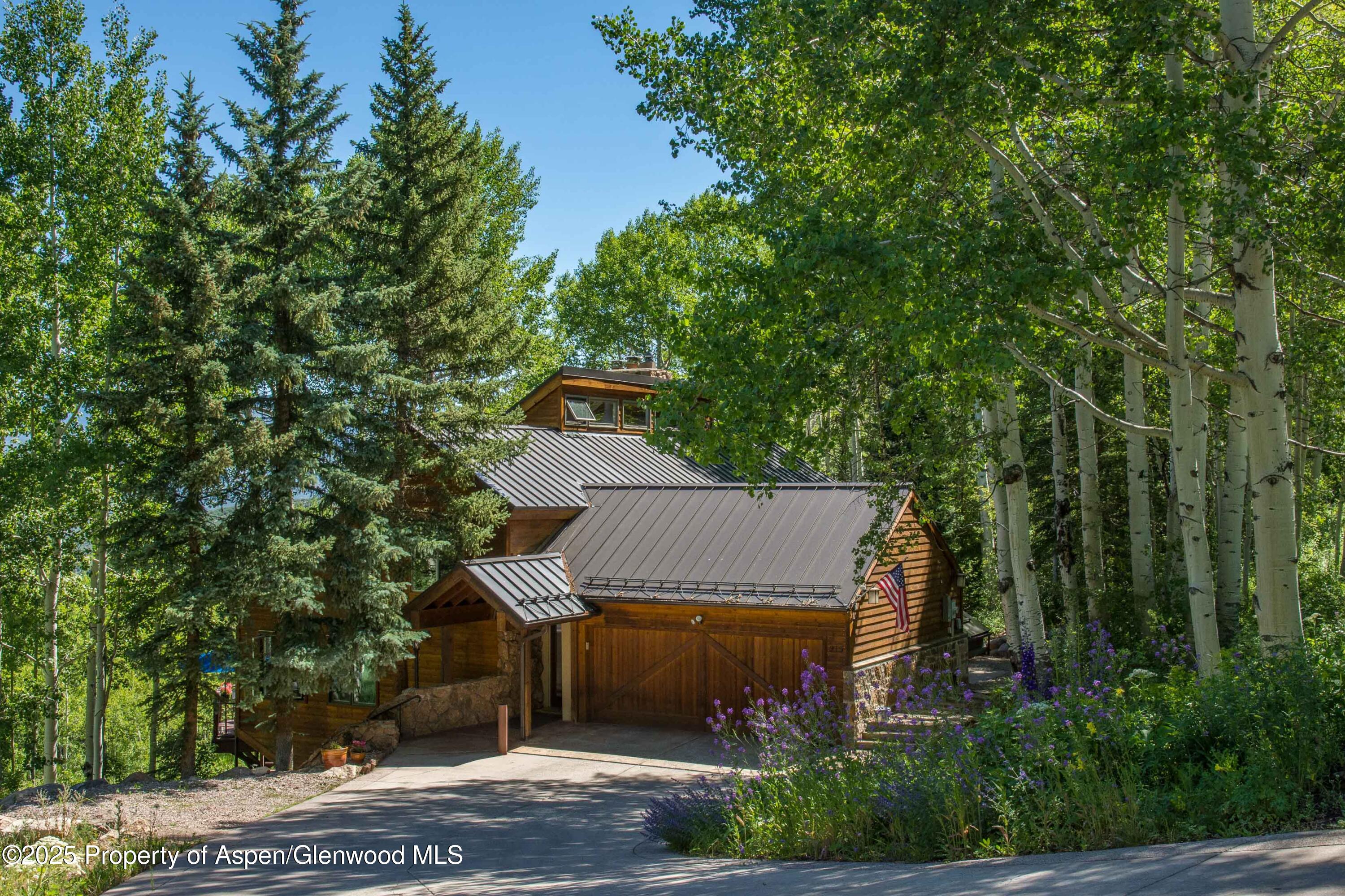 215 Maple Ridge Lane Snowmass Village CO 81615