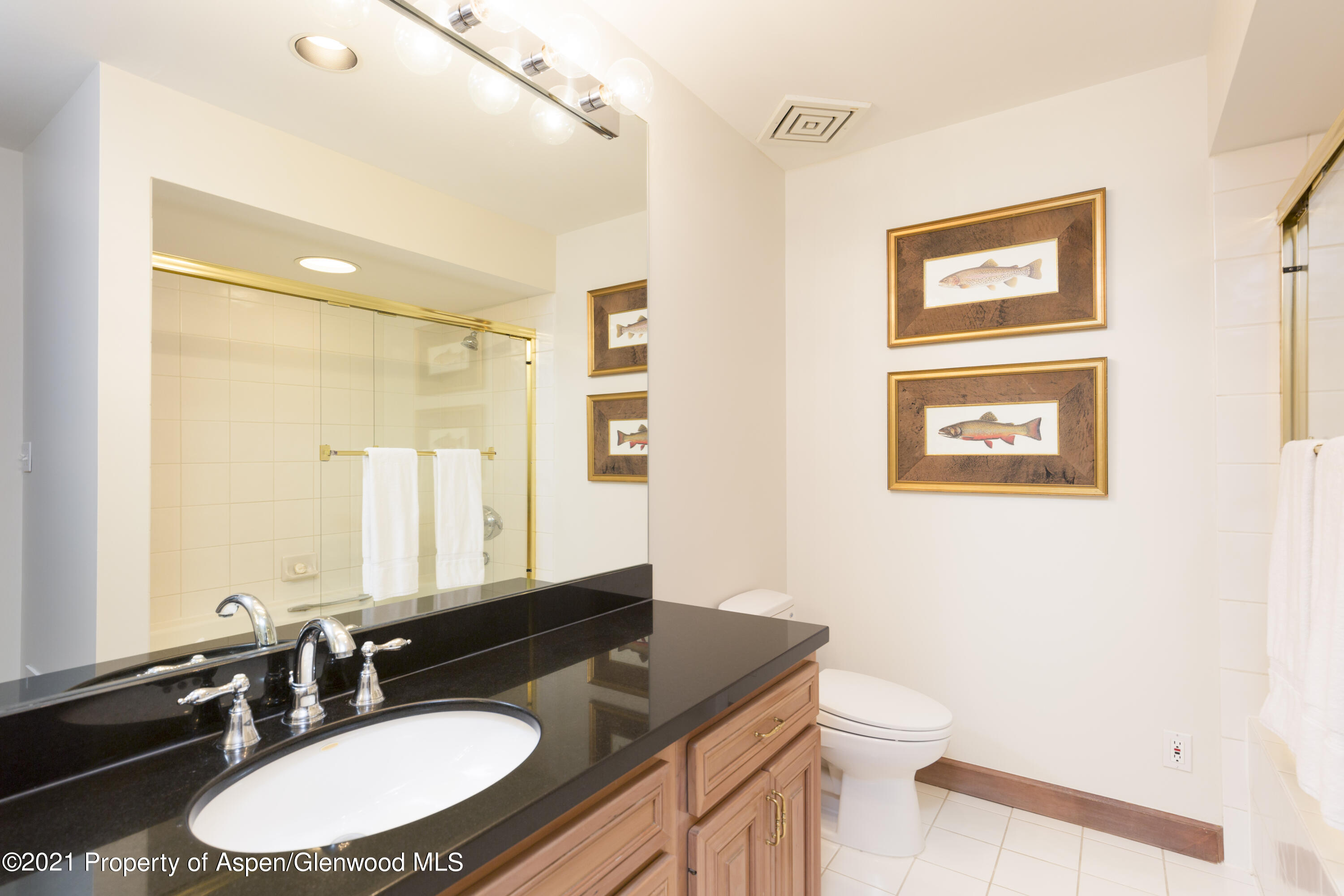 777 Ute Avenue Aspen CO 81611