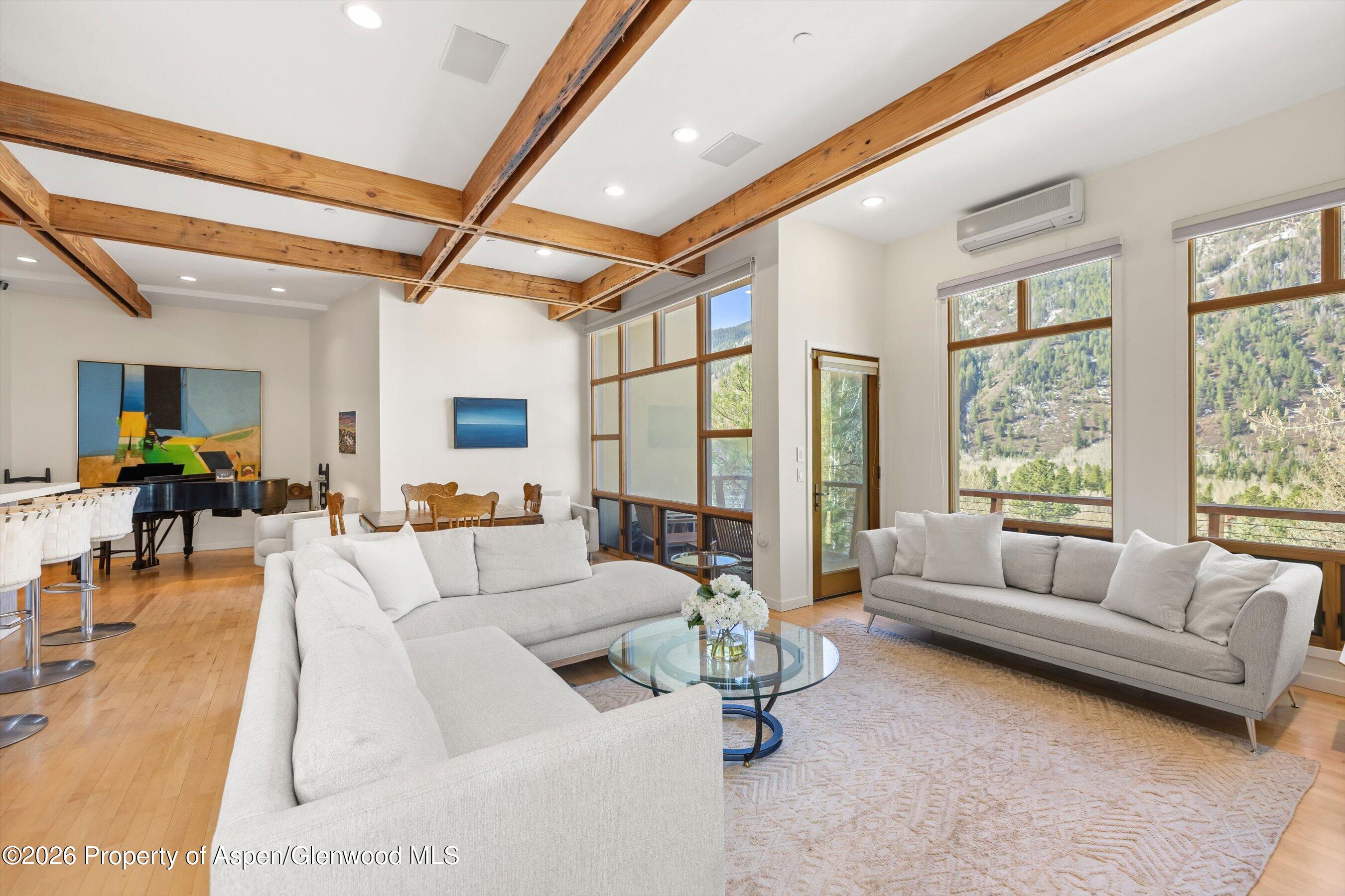 250 Mountain Laurel Drive Aspen CO 81611