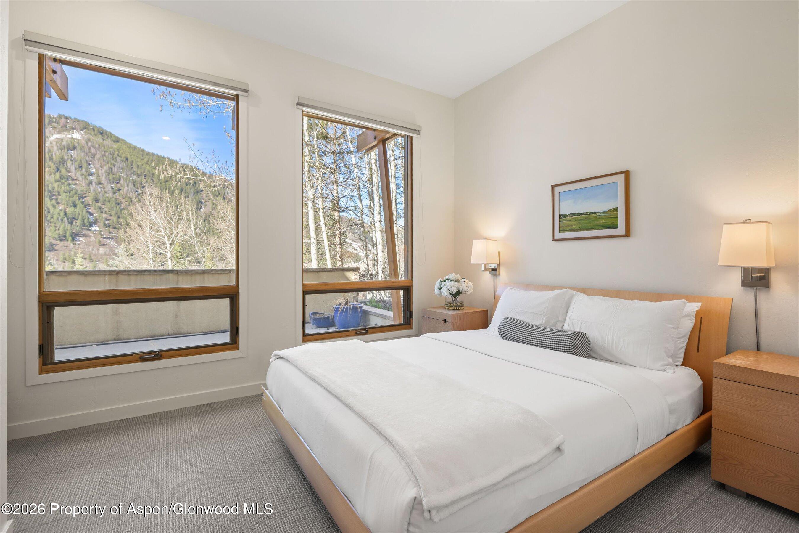 250 Mountain Laurel Drive Aspen CO 81611