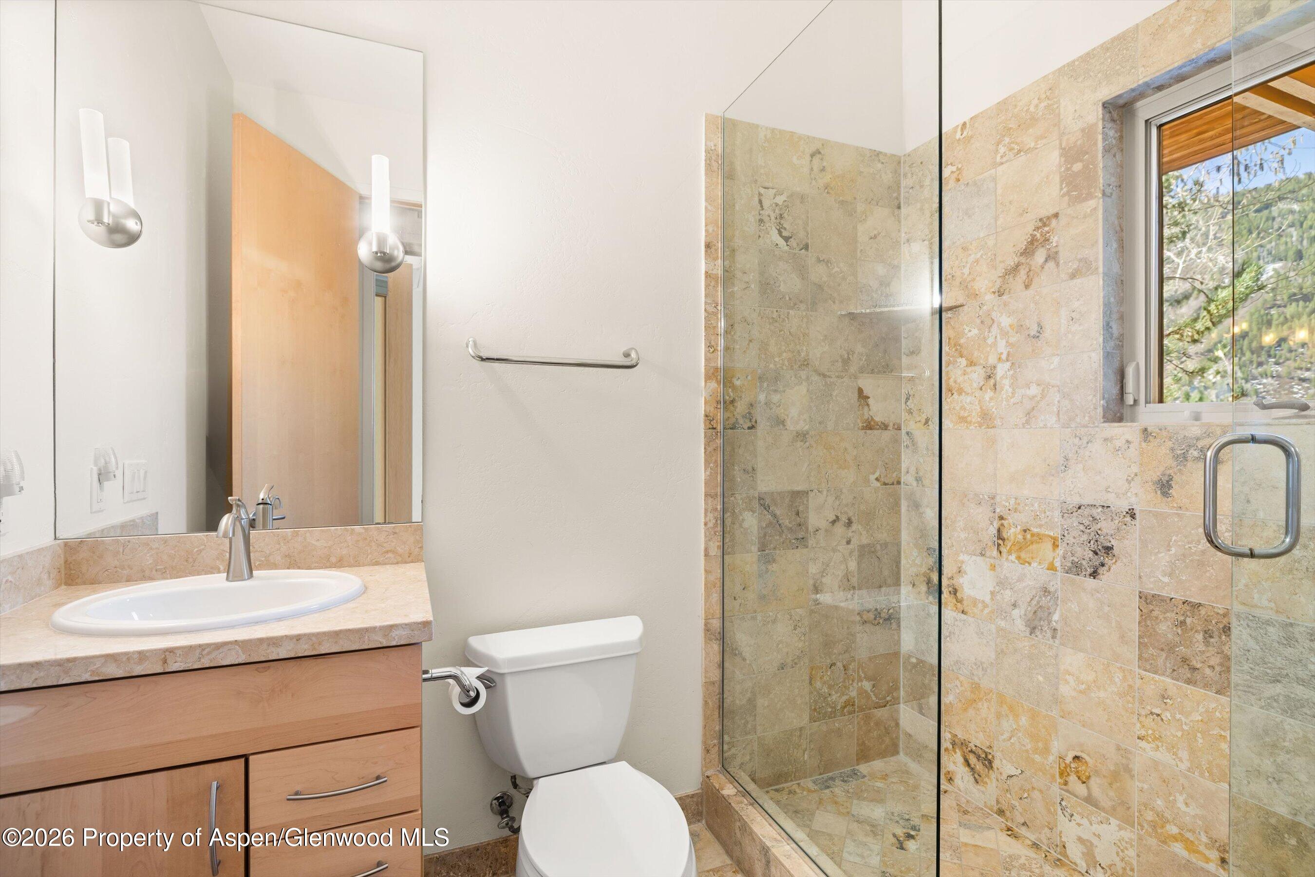 250 Mountain Laurel Drive Aspen CO 81611