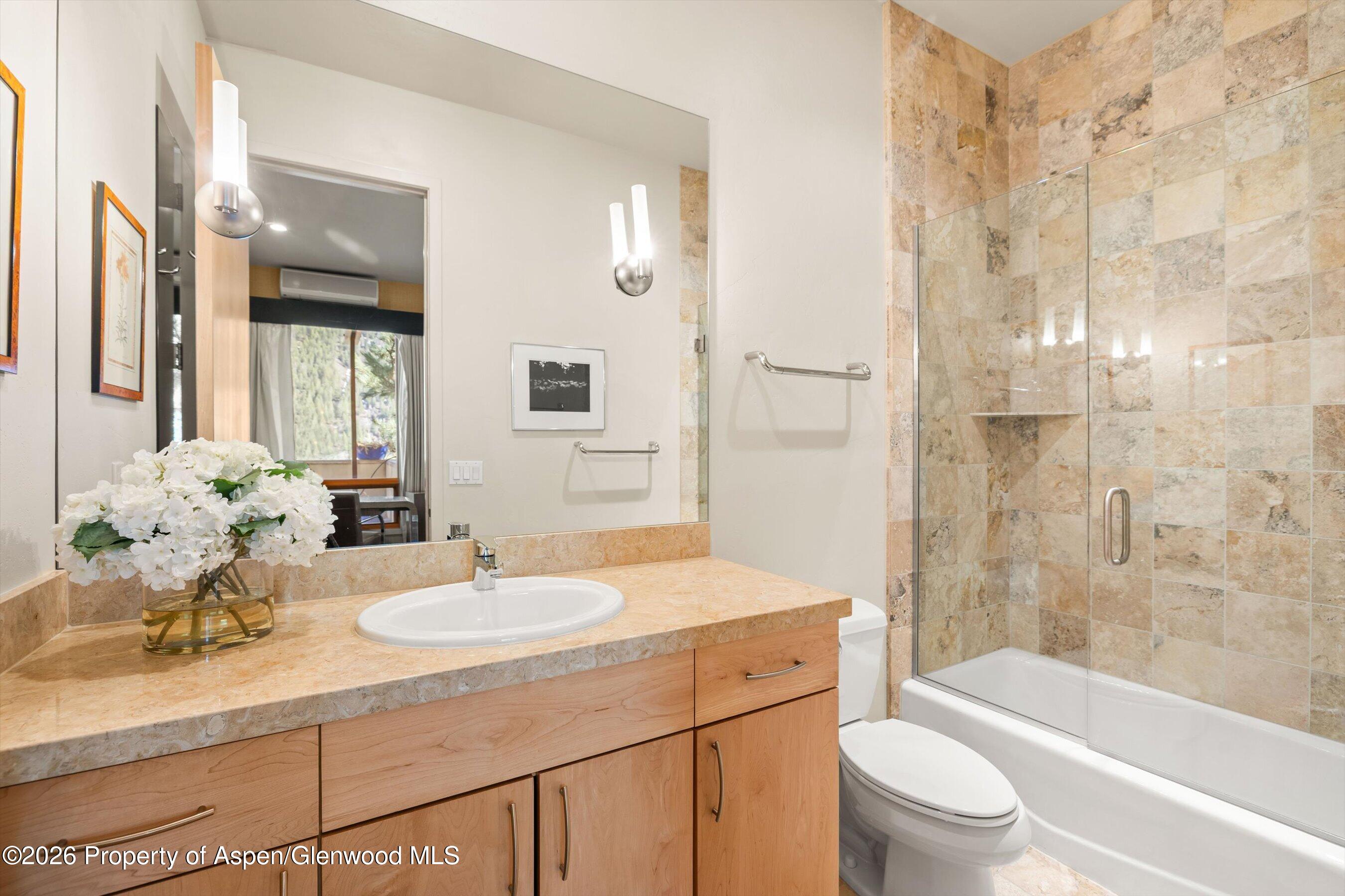 250 Mountain Laurel Drive Aspen CO 81611