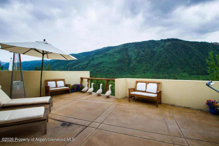 250 Mountain Laurel Drive Aspen CO 81611