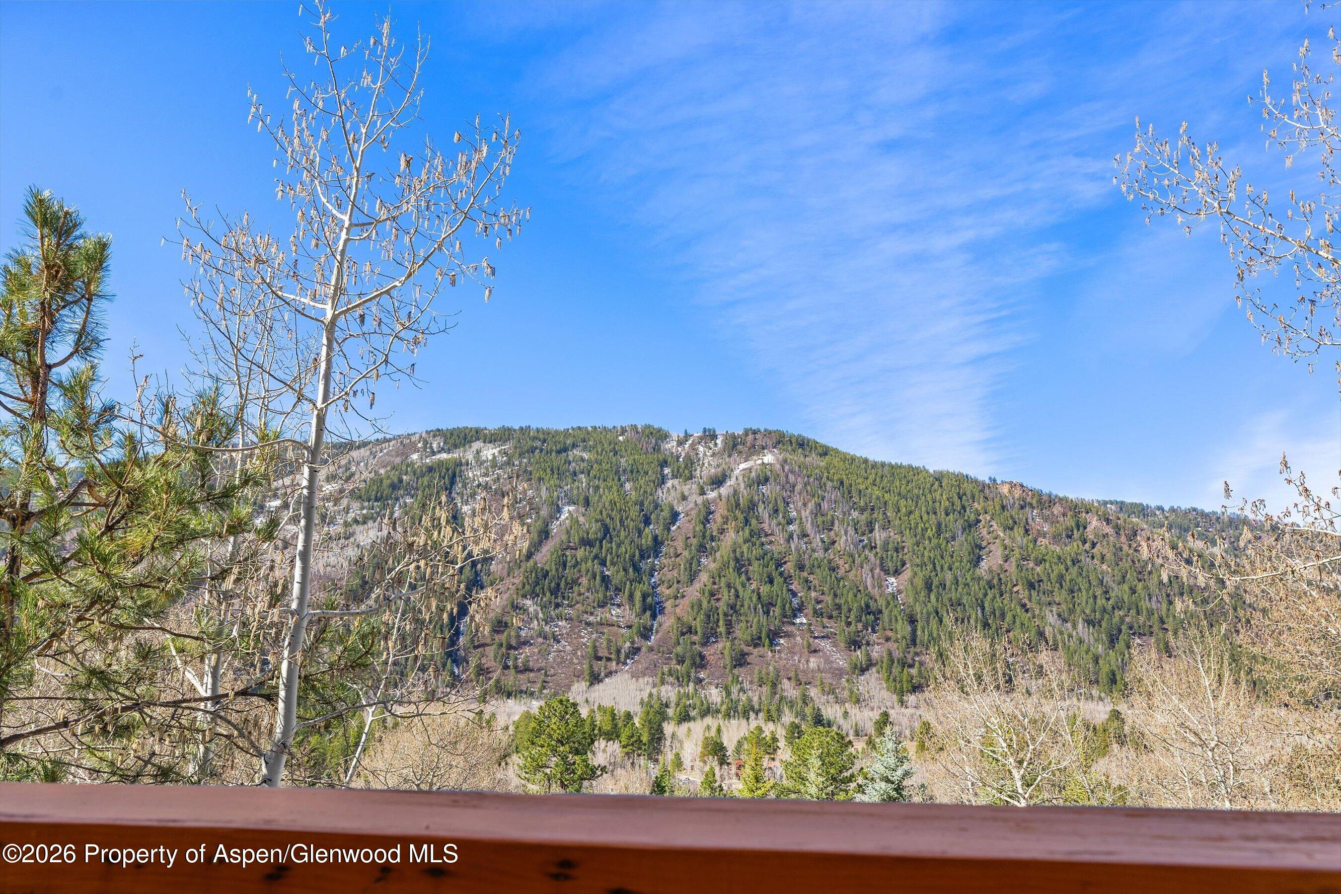 250 Mountain Laurel Drive Aspen CO 81611