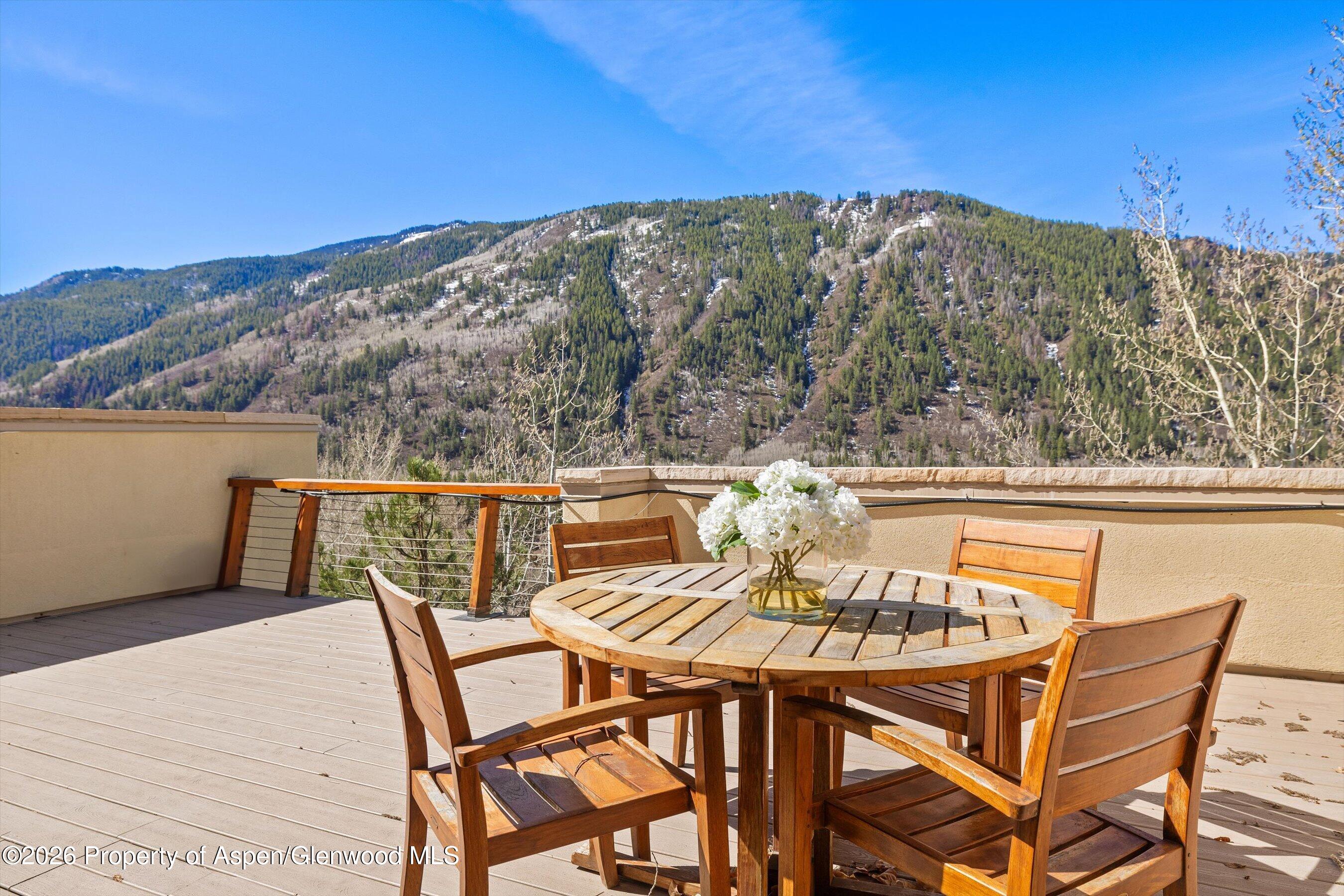 250 Mountain Laurel Drive Aspen CO 81611