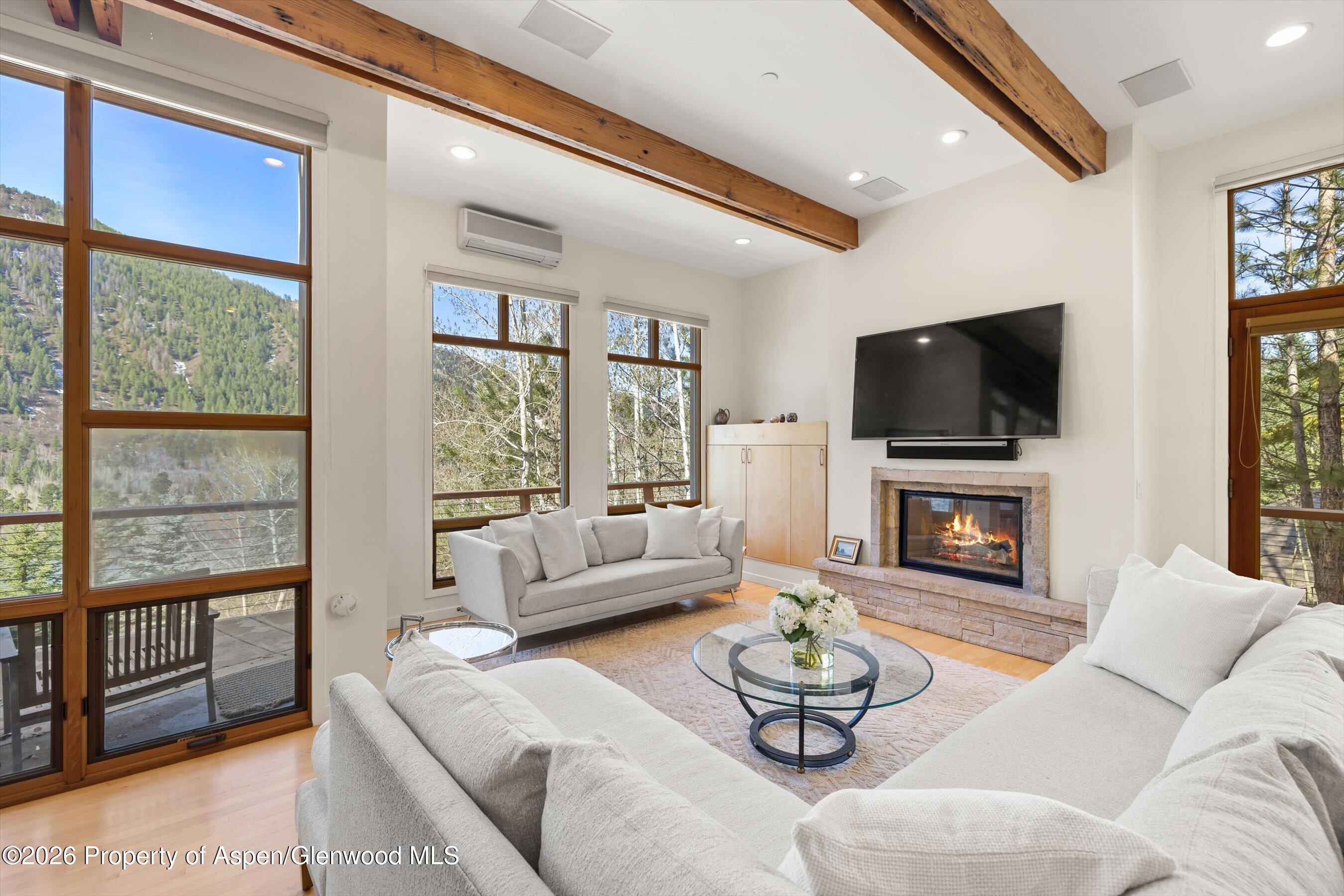 250 Mountain Laurel Drive Aspen CO 81611