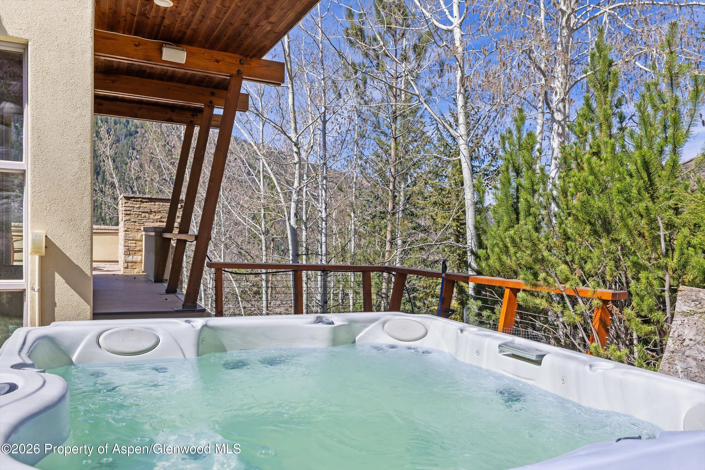 250 Mountain Laurel Drive Aspen CO 81611