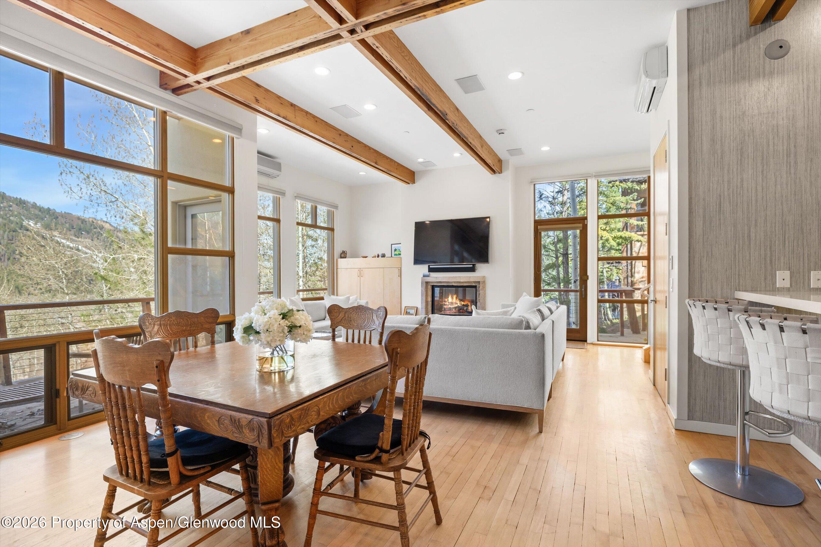 250 Mountain Laurel Drive Aspen CO 81611