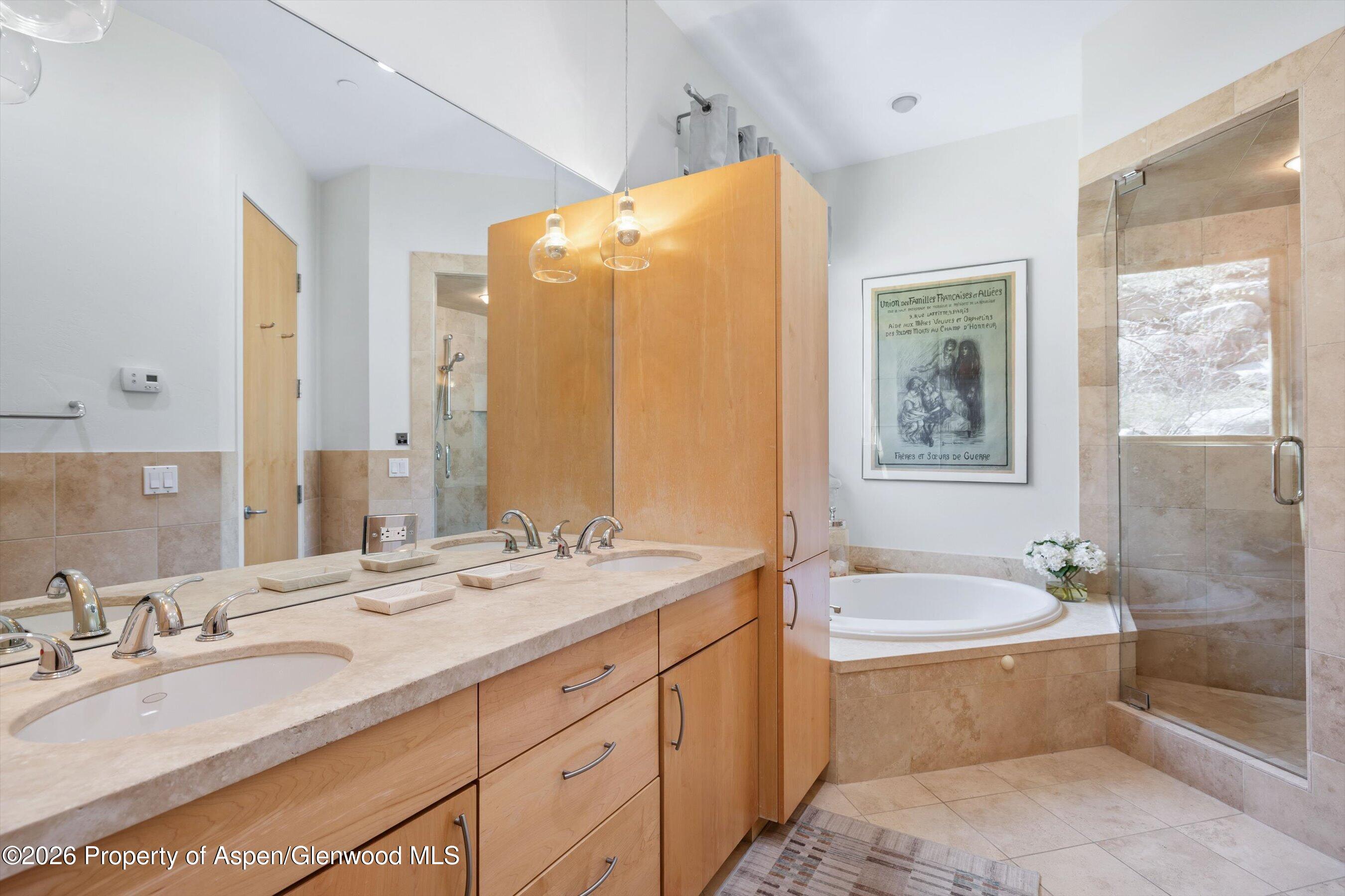 250 Mountain Laurel Drive Aspen CO 81611