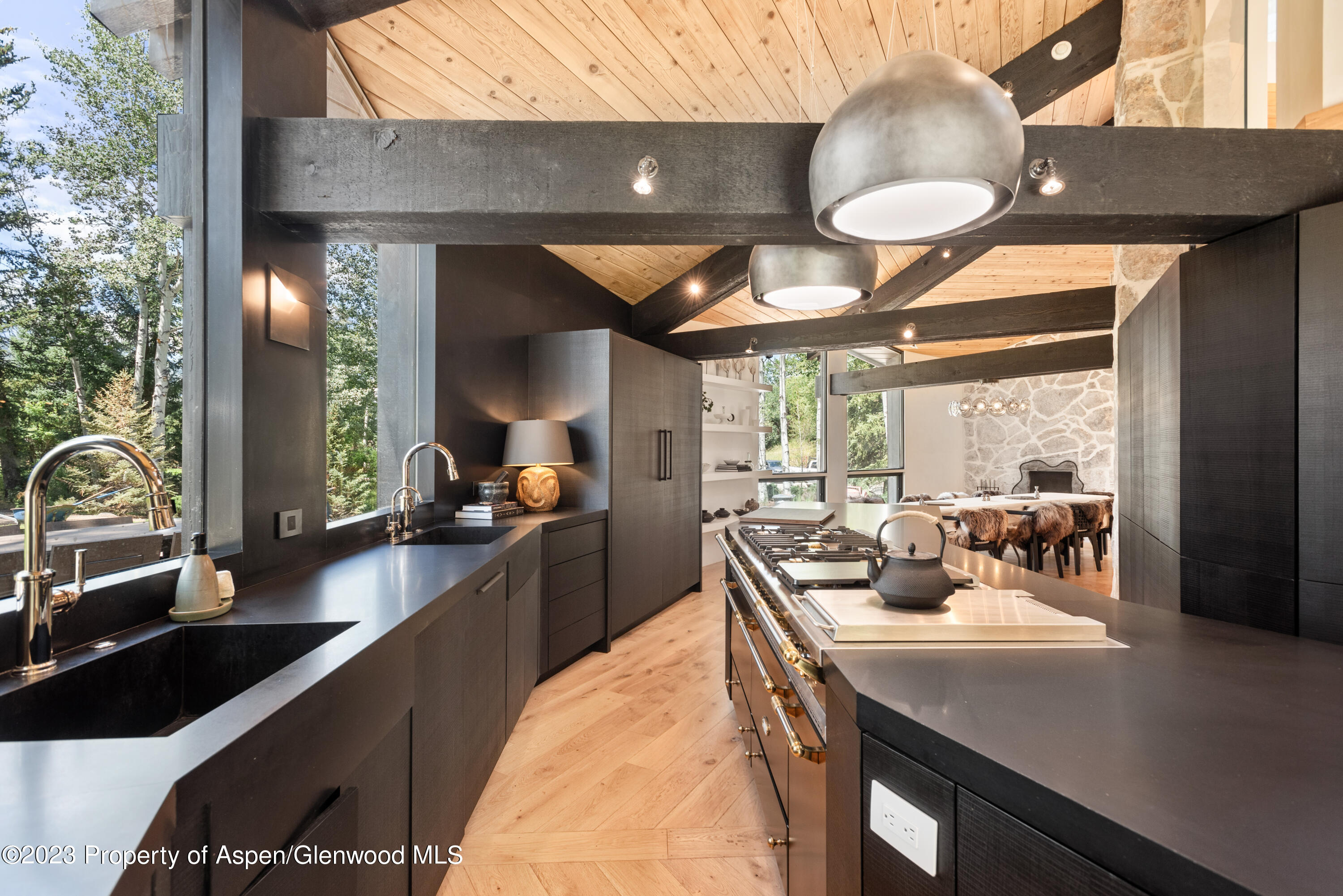 763 Willoughby Way Aspen CO 81611