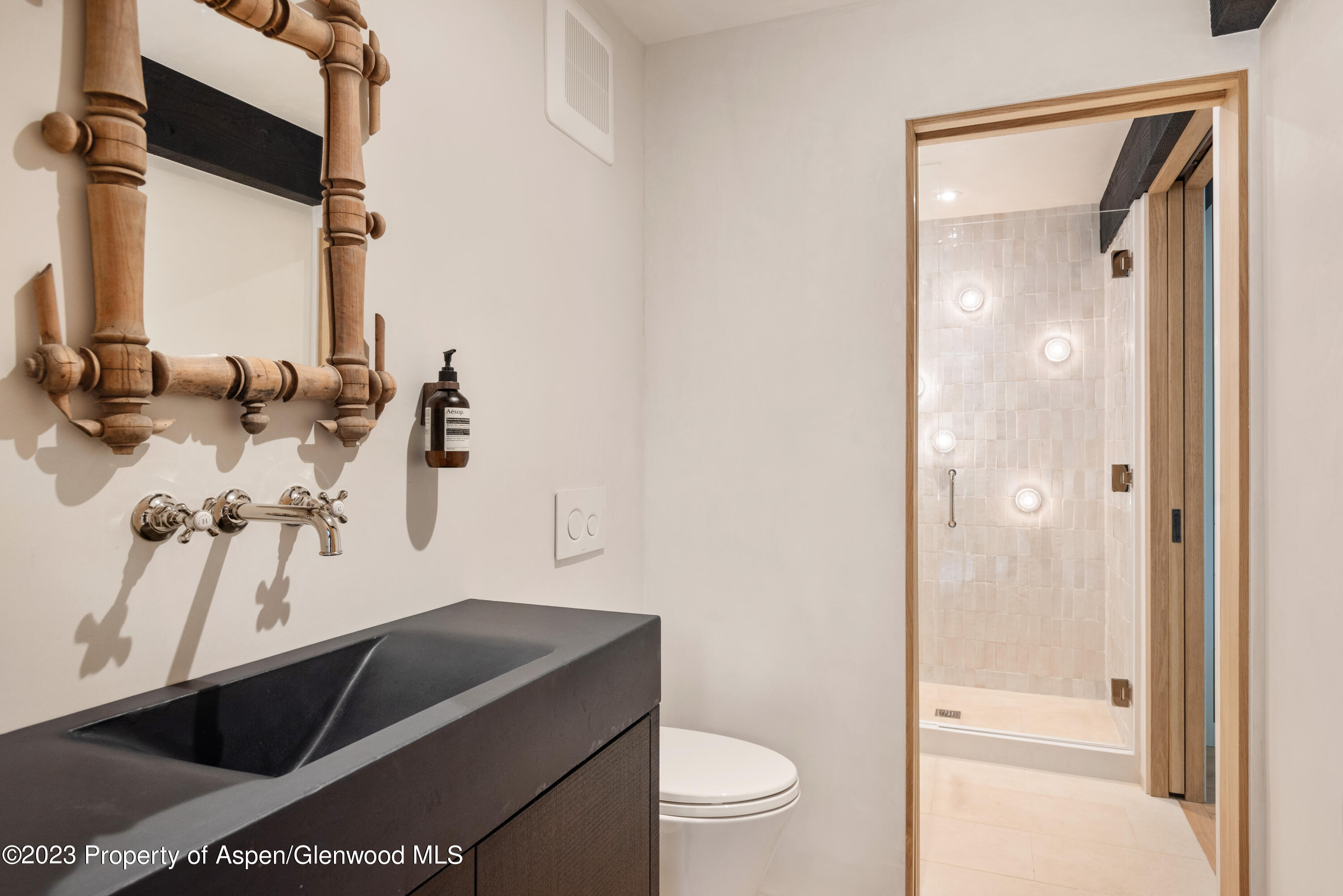 763 Willoughby Way Aspen CO 81611