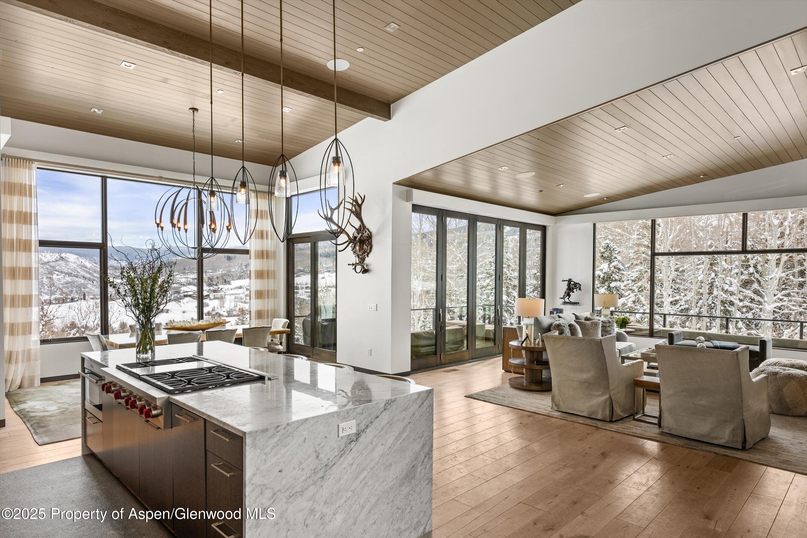 353 Terrace Drive Snowmass Village CO 81615
