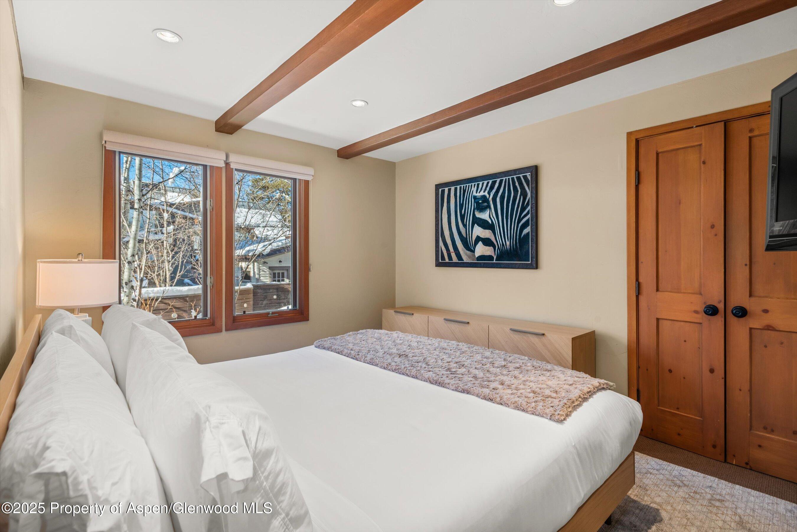 825 E Hopkins Avenue Aspen CO 81611