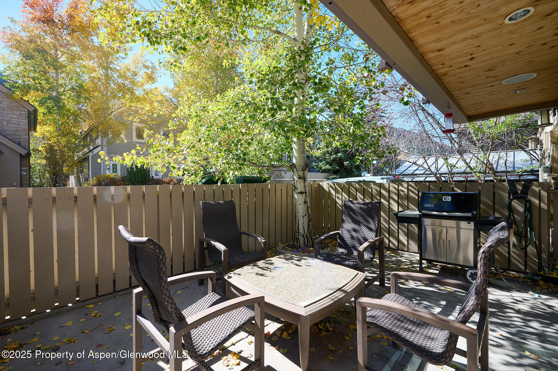 825 E Hopkins Avenue Aspen CO 81611