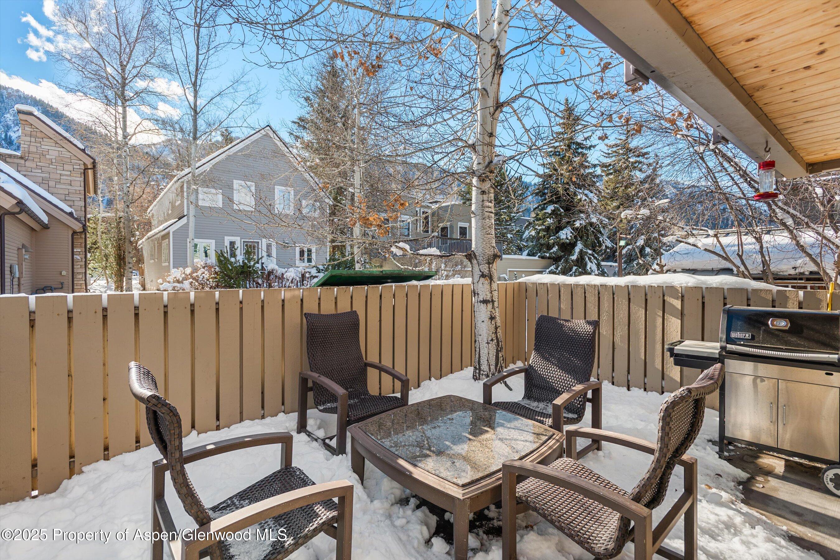 825 E Hopkins Avenue Aspen CO 81611