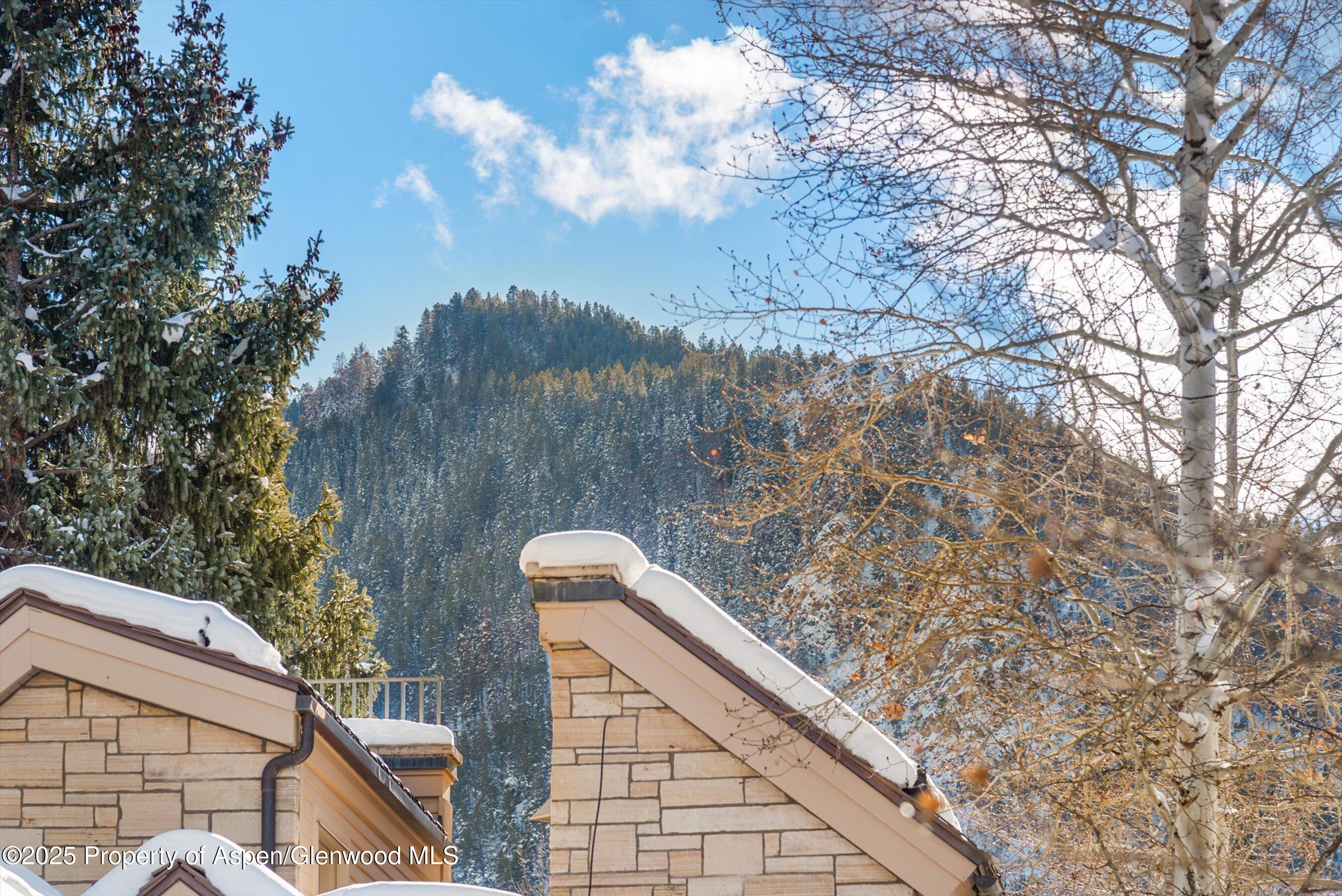 825 E Hopkins Avenue Aspen CO 81611