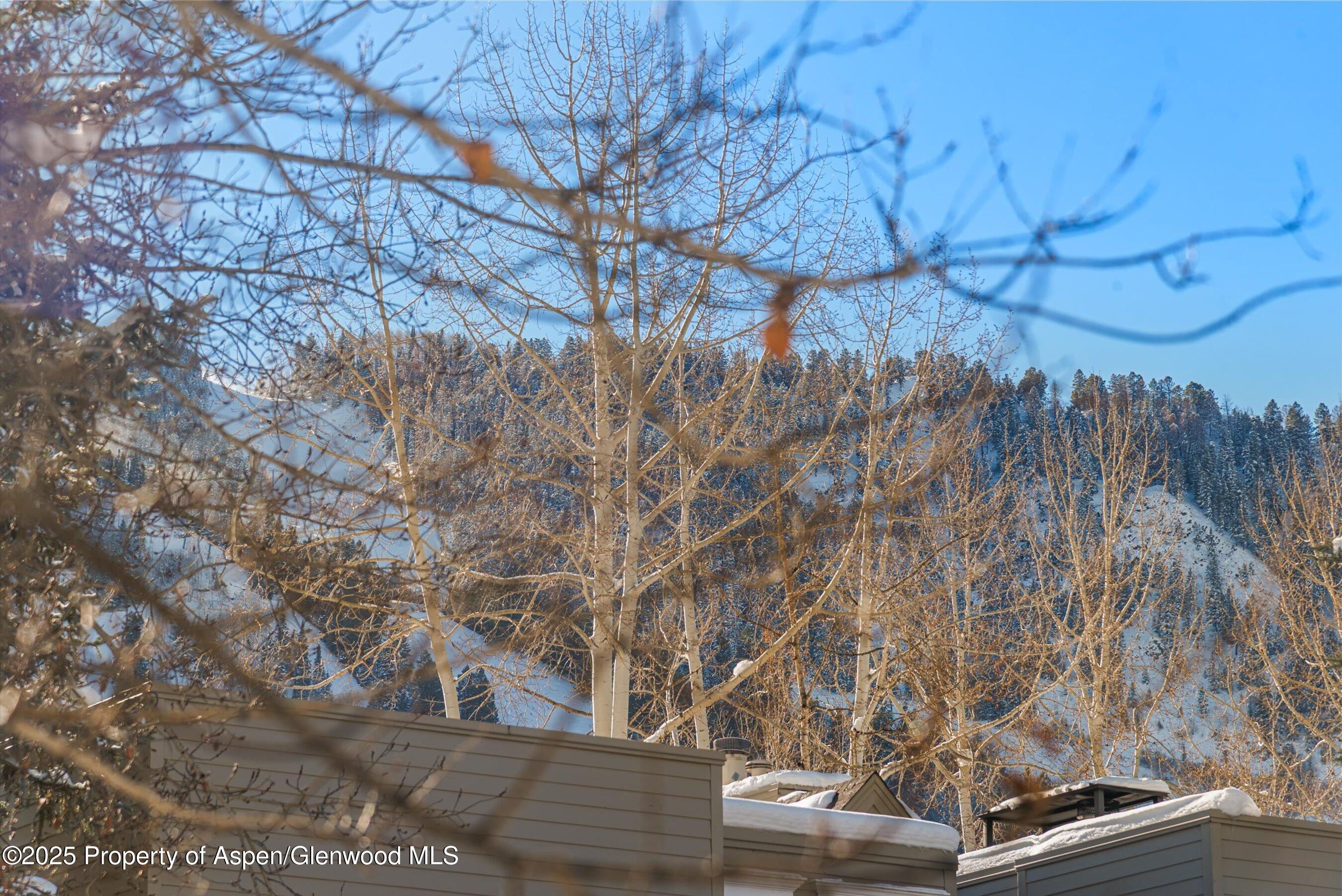 825 E Hopkins Avenue Aspen CO 81611