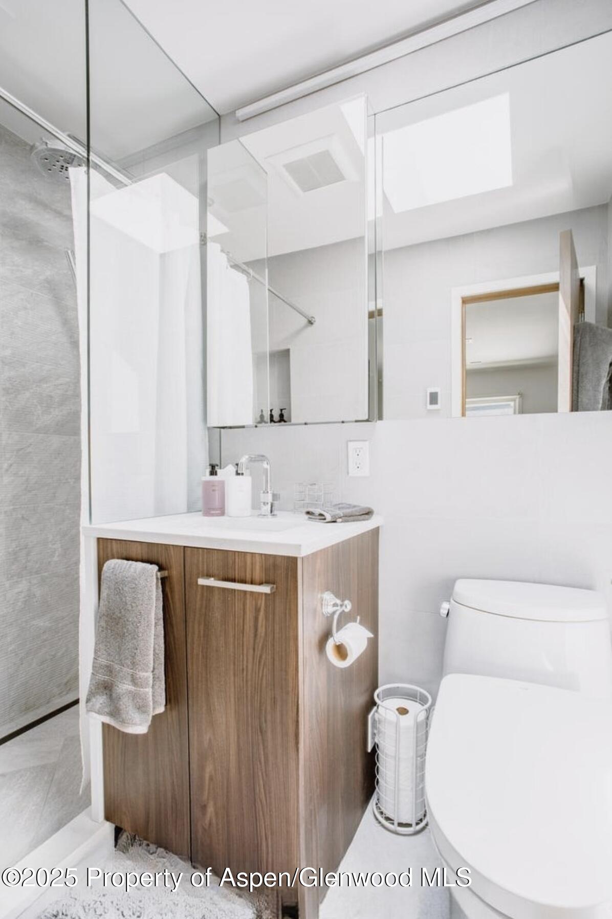 210 E Cooper Avenue Aspen CO 81611