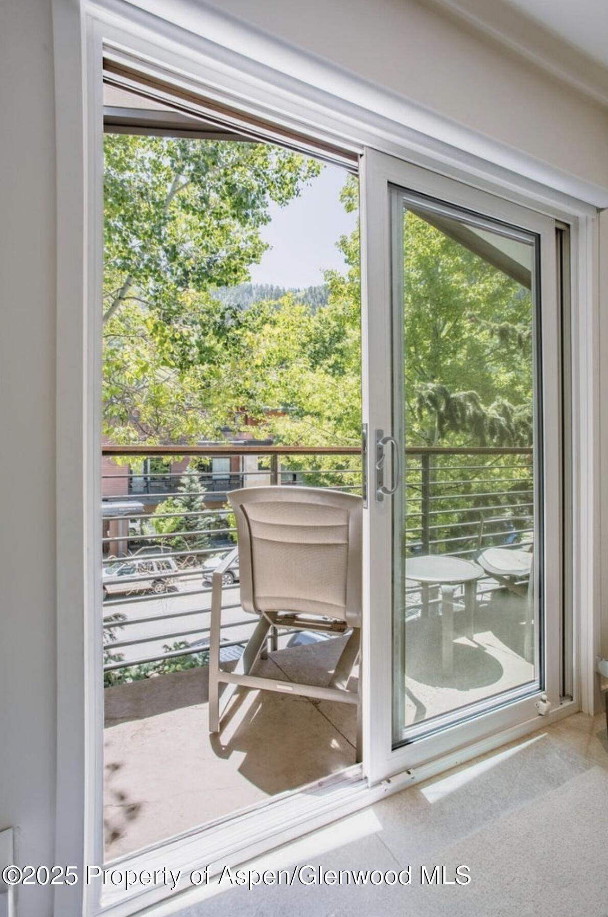 210 E Cooper Avenue Aspen CO 81611