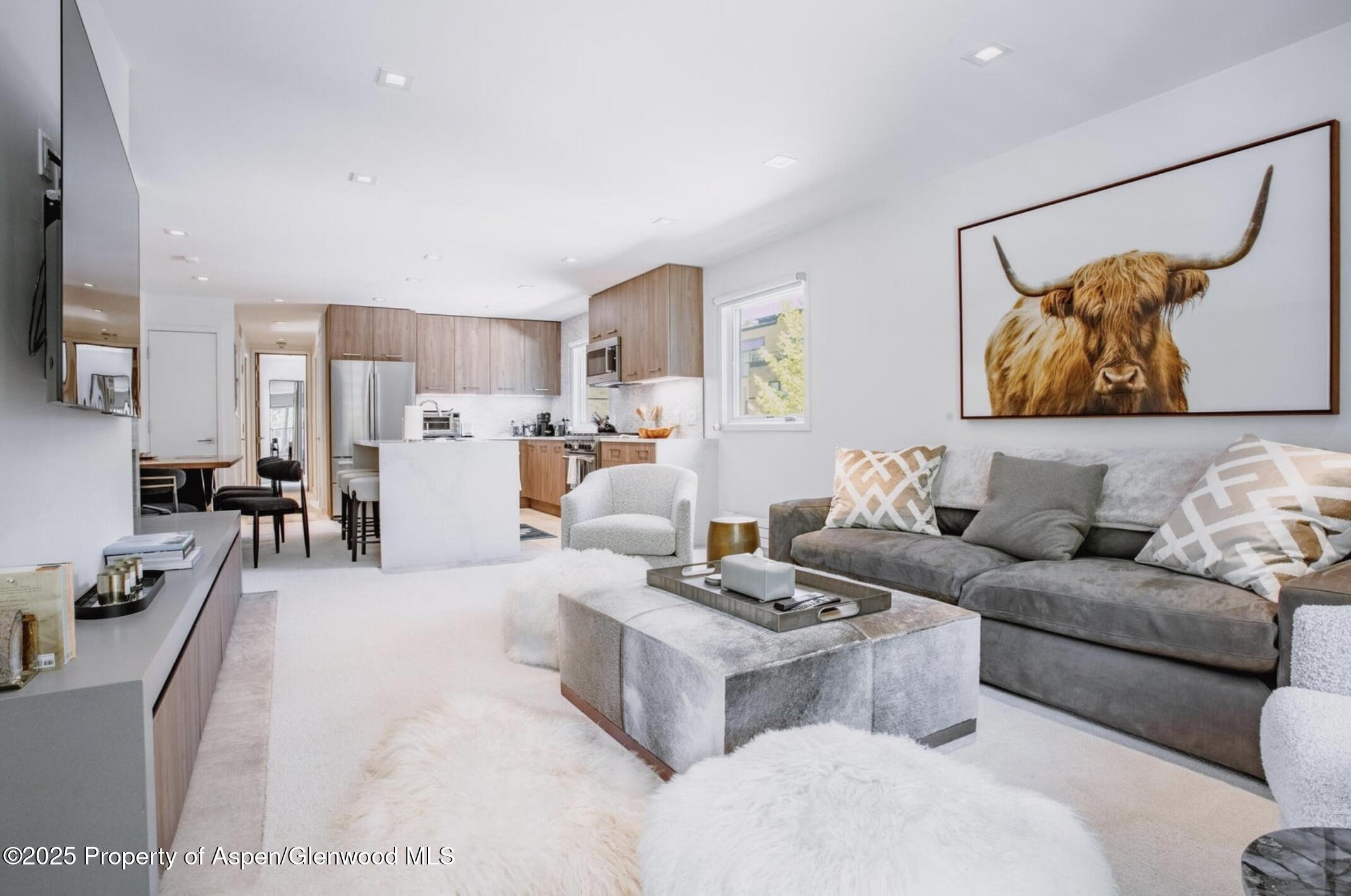 210 E Cooper Avenue Aspen CO 81611