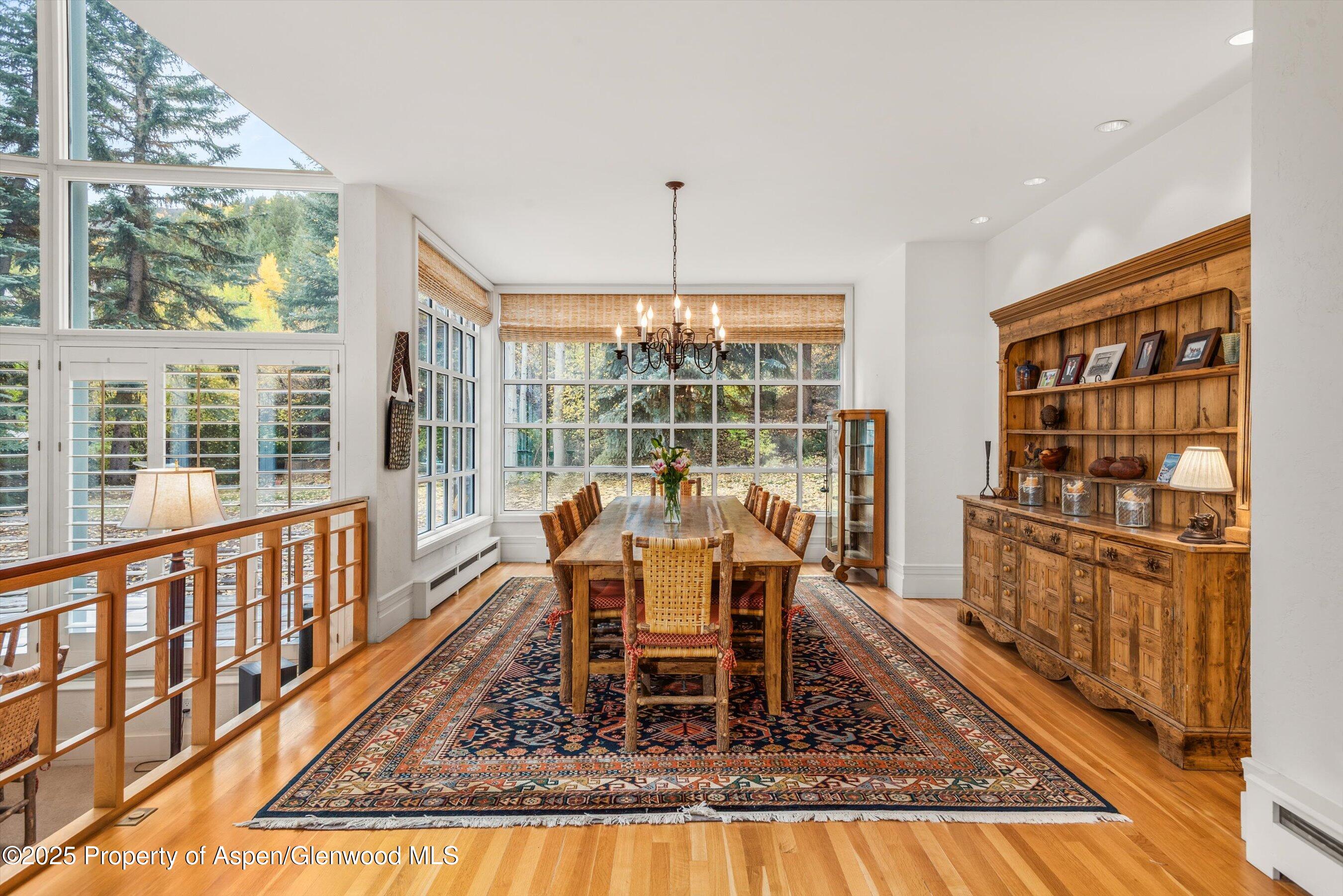 431 W Hopkins Avenue Aspen CO 81611