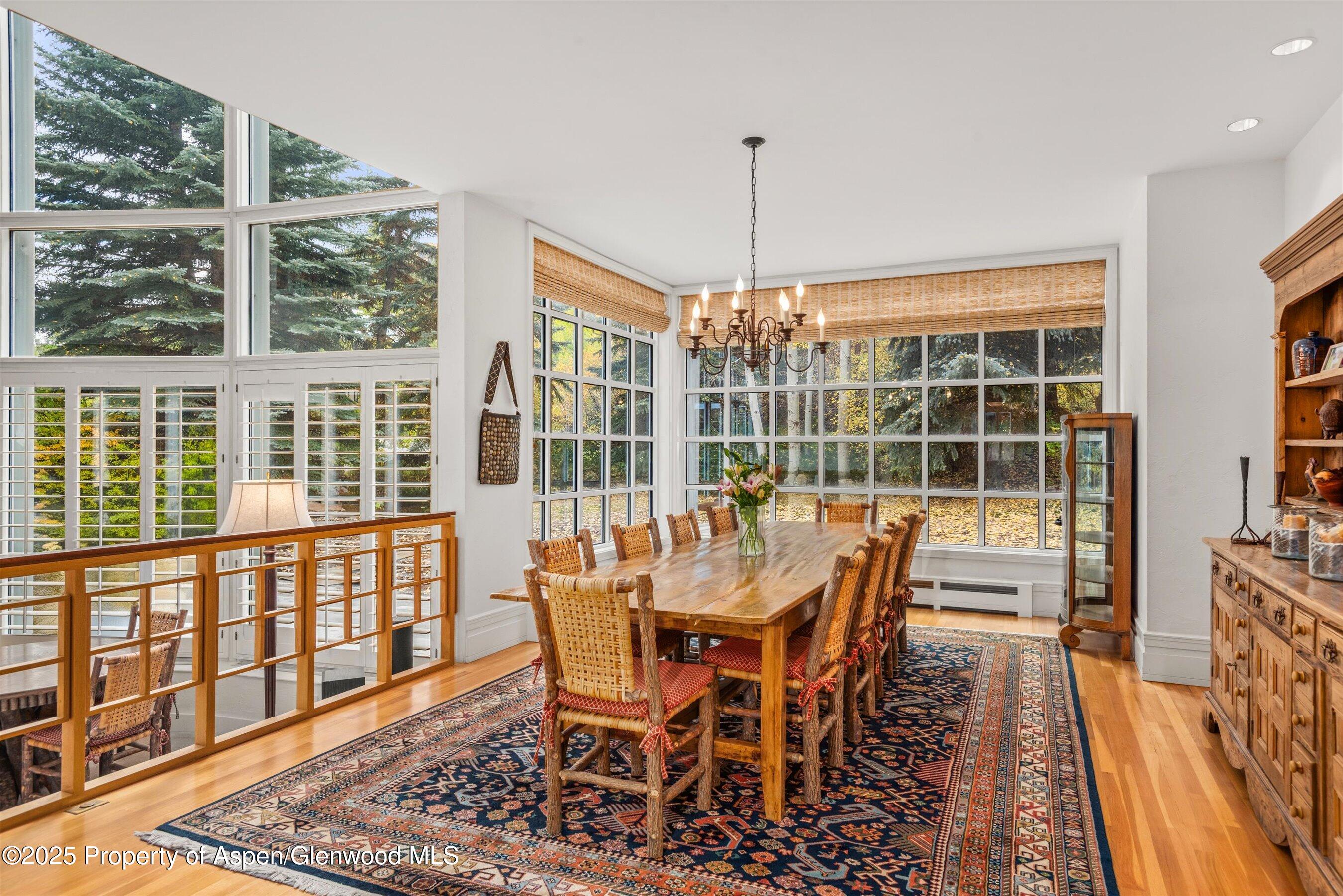 431 W Hopkins Avenue Aspen CO 81611