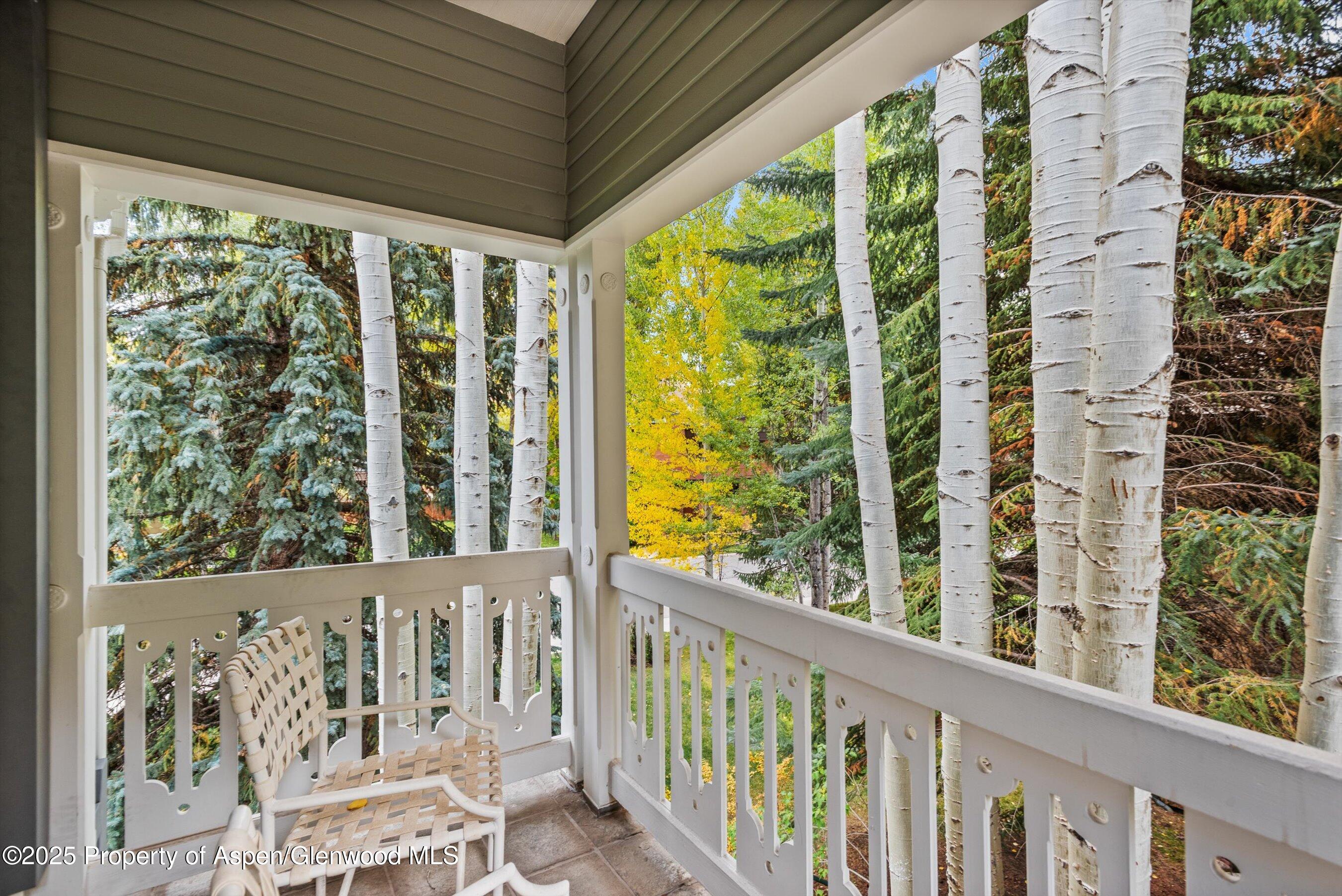 431 W Hopkins Avenue Aspen CO 81611