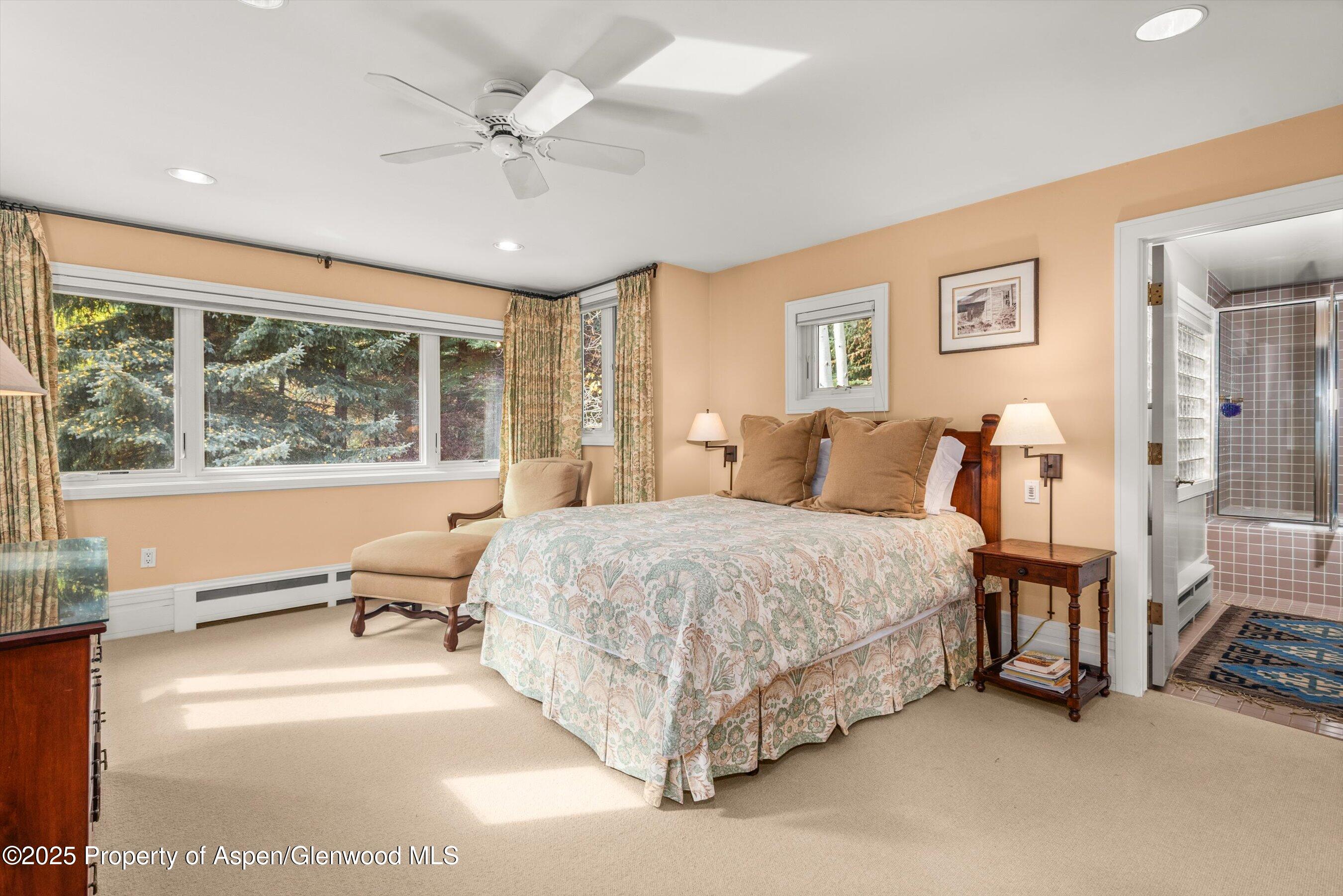 431 W Hopkins Avenue Aspen CO 81611