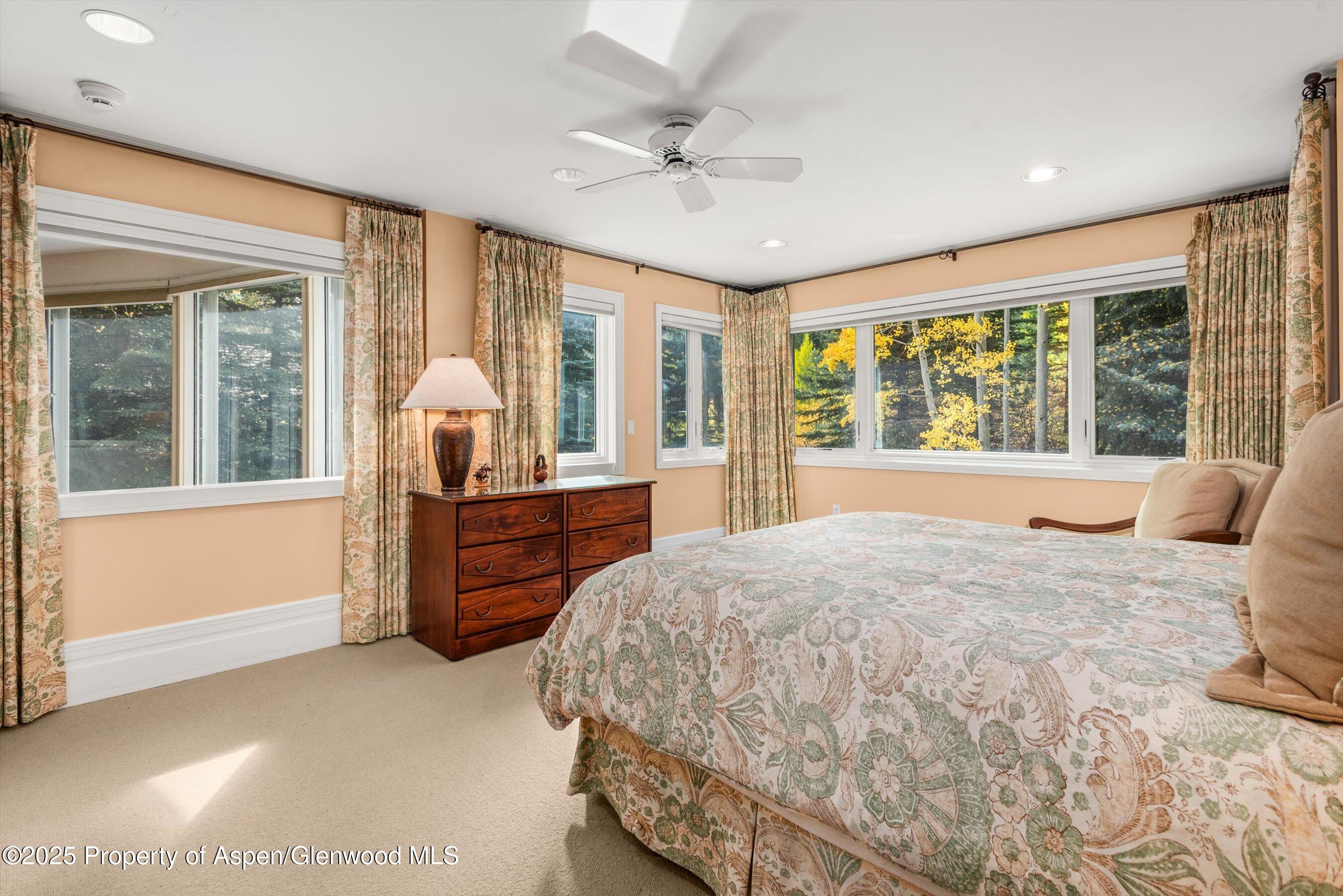 431 W Hopkins Avenue Aspen CO 81611