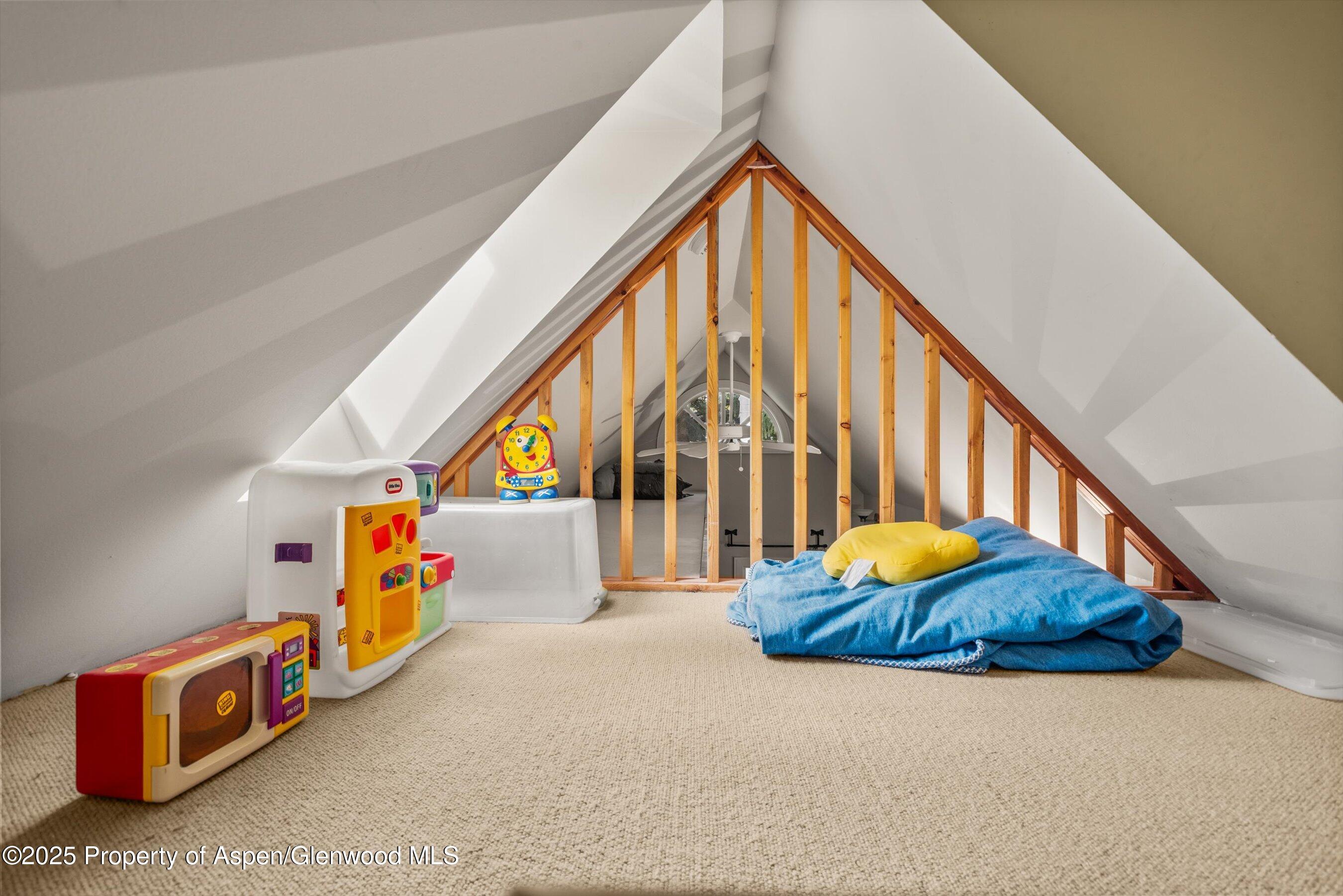 431 W Hopkins Avenue Aspen CO 81611