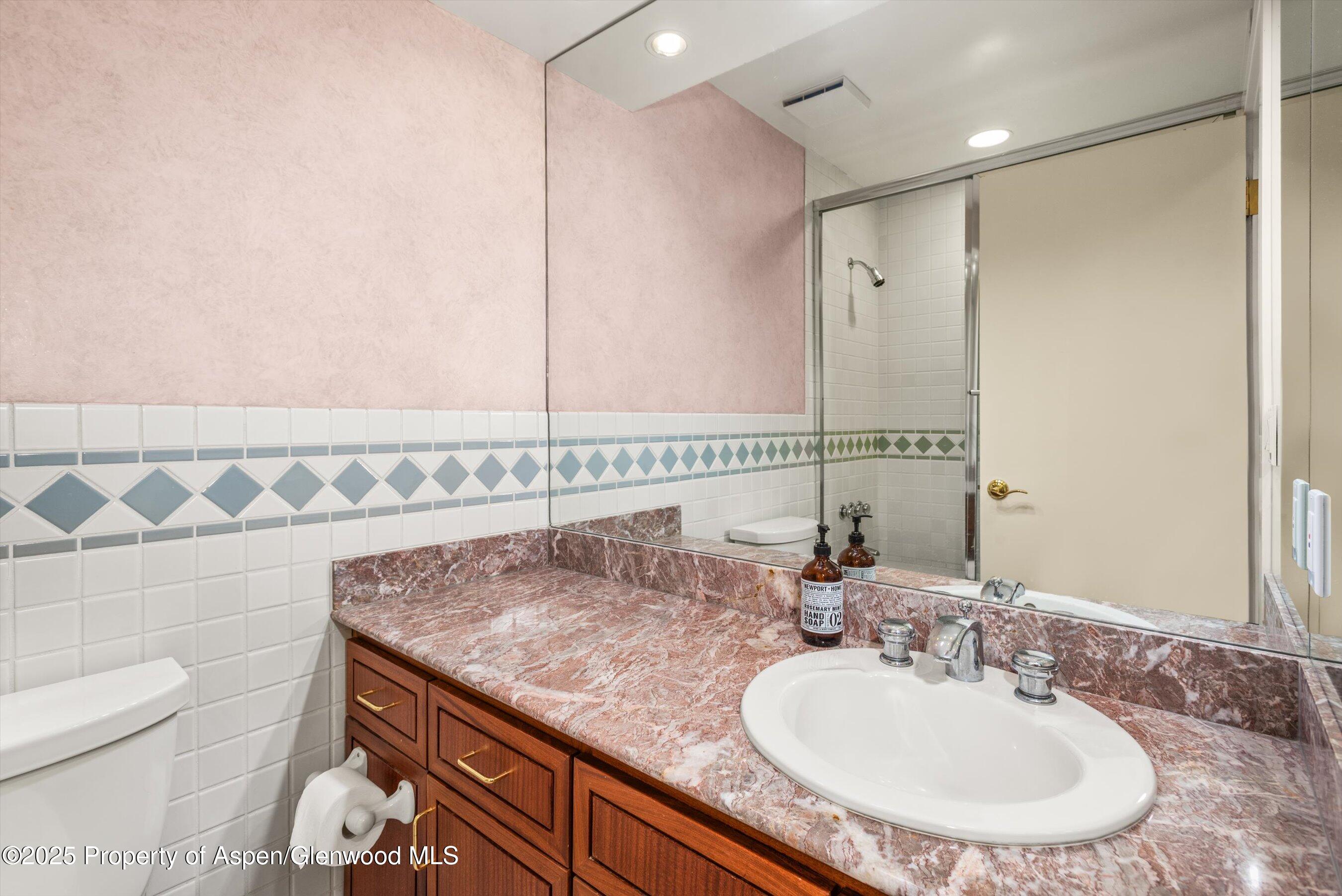 431 W Hopkins Avenue Aspen CO 81611