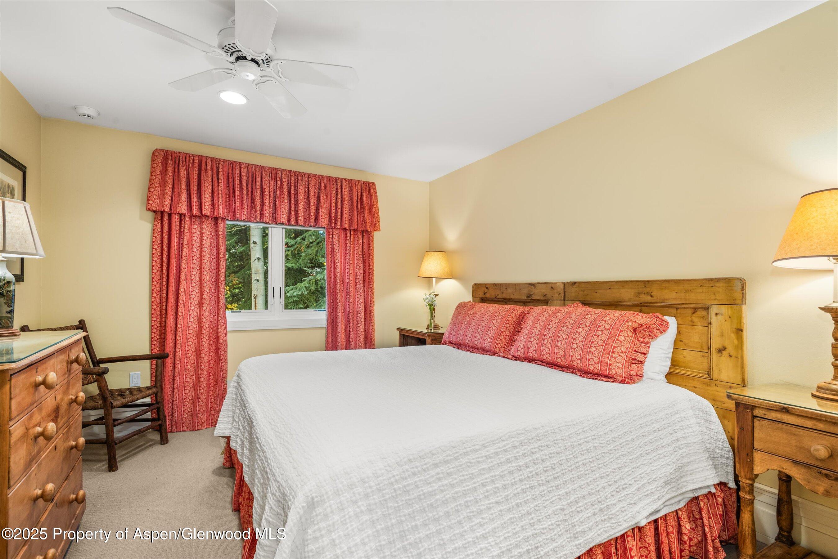 431 W Hopkins Avenue Aspen CO 81611