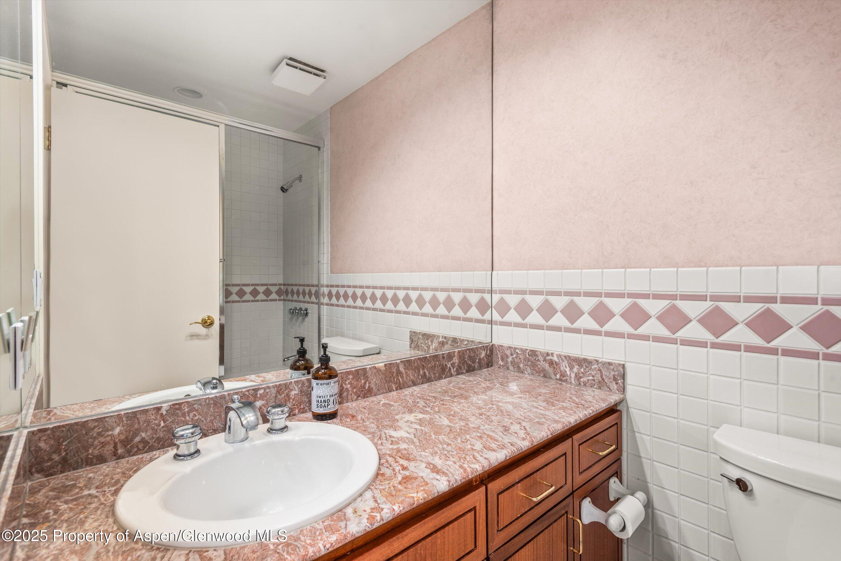 431 W Hopkins Avenue Aspen CO 81611