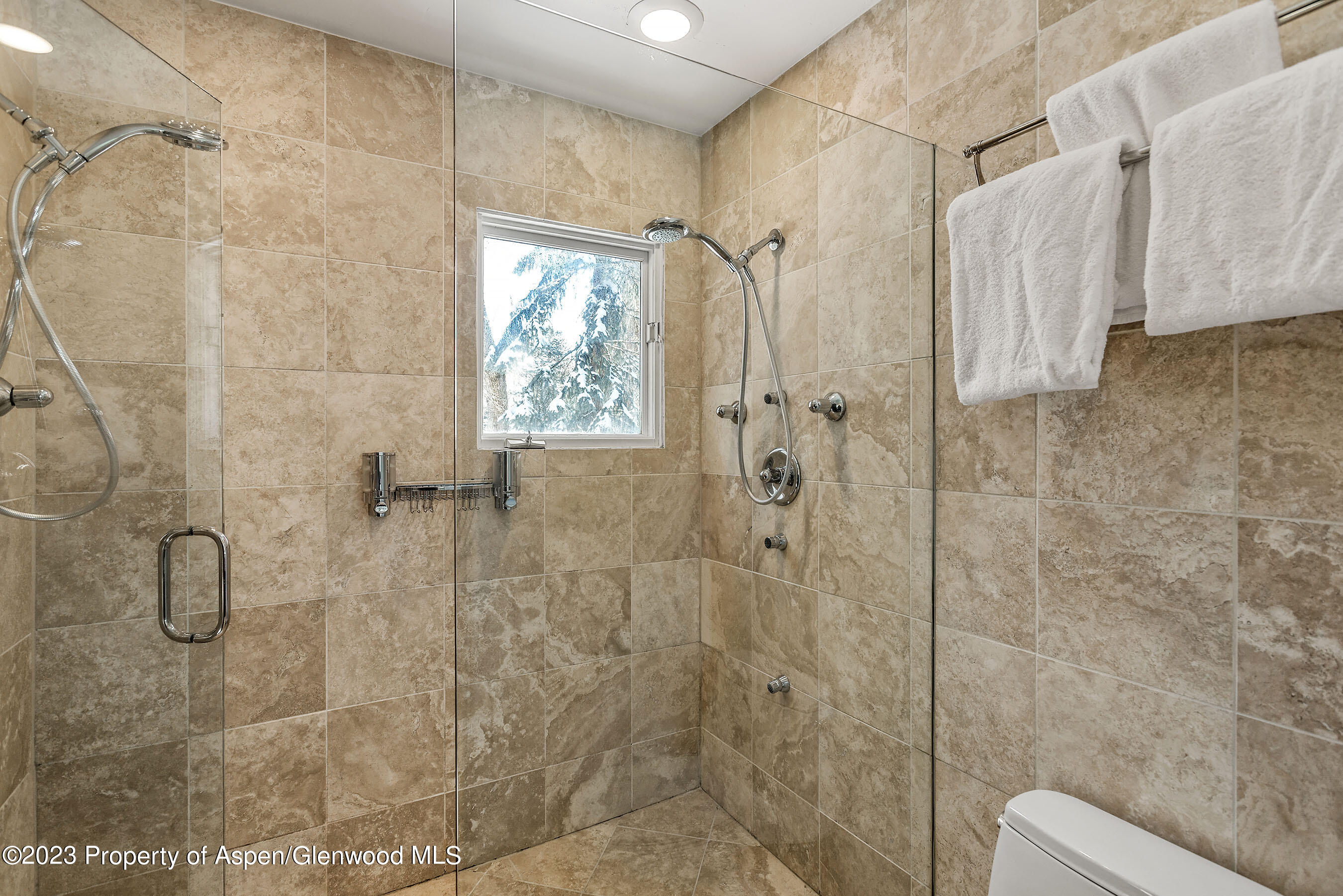 814 W Bleeker Street Aspen CO 81611
