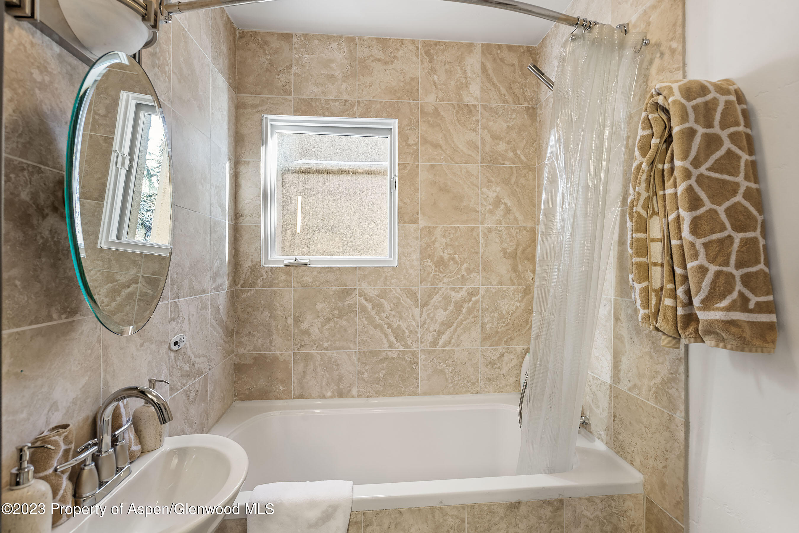 814 W Bleeker Street Aspen CO 81611