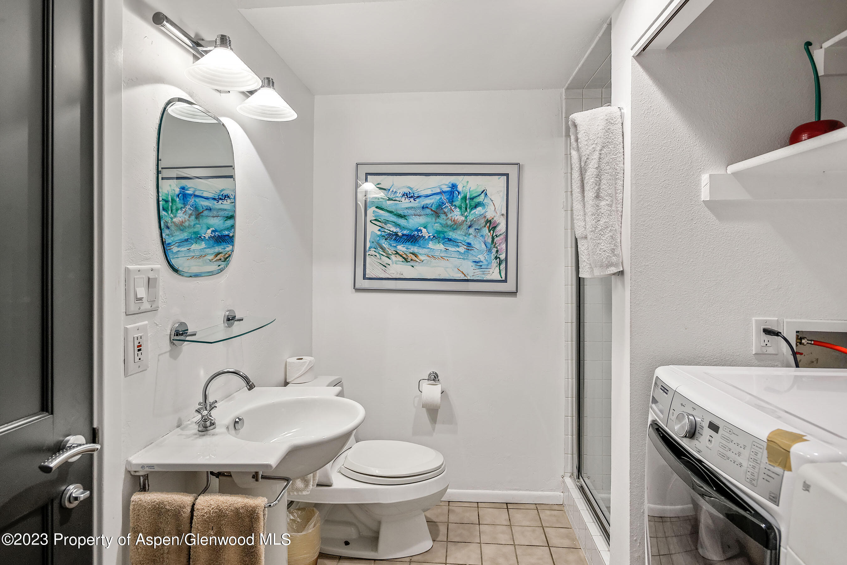 814 W Bleeker Street Aspen CO 81611