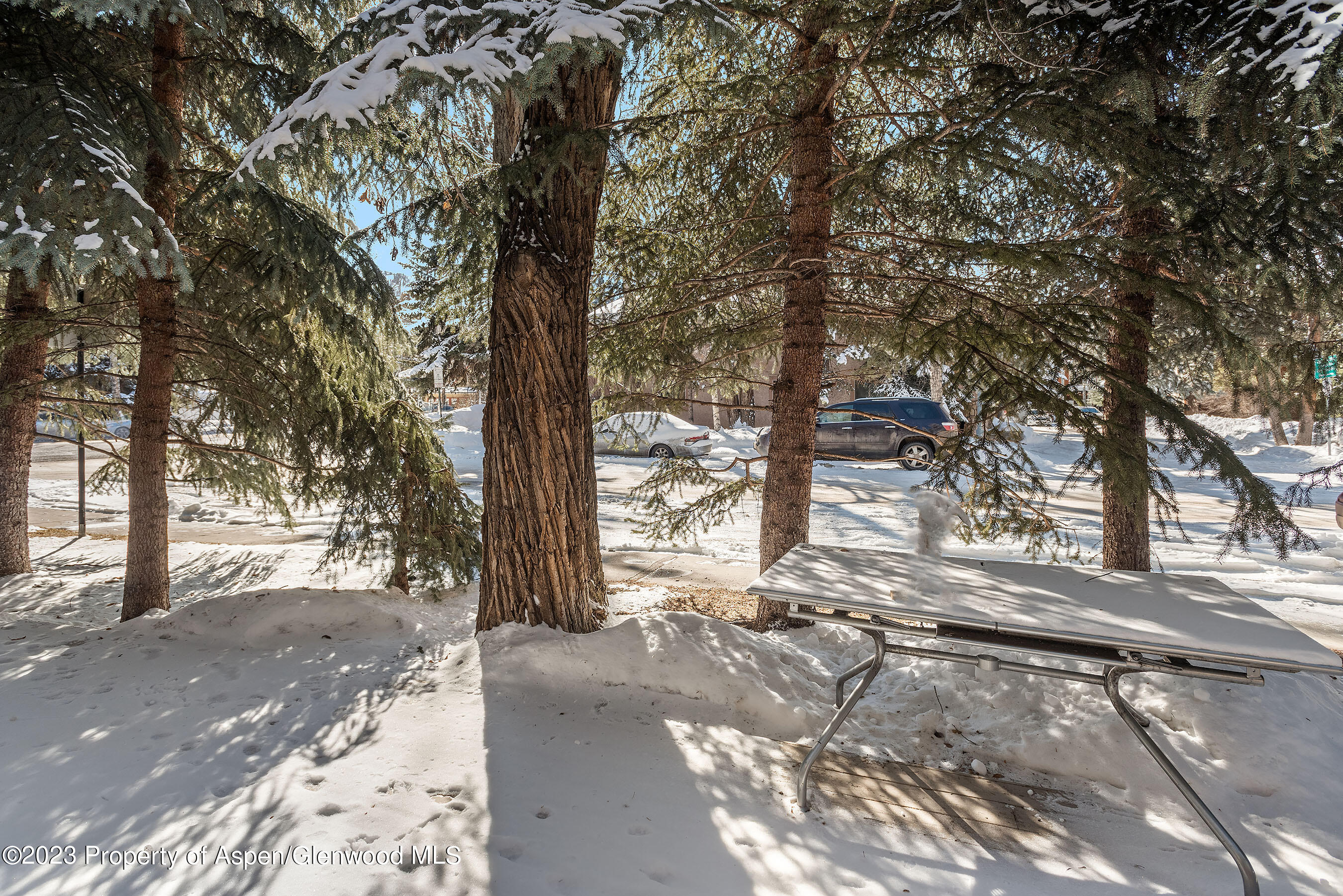 814 W Bleeker Street Aspen CO 81611