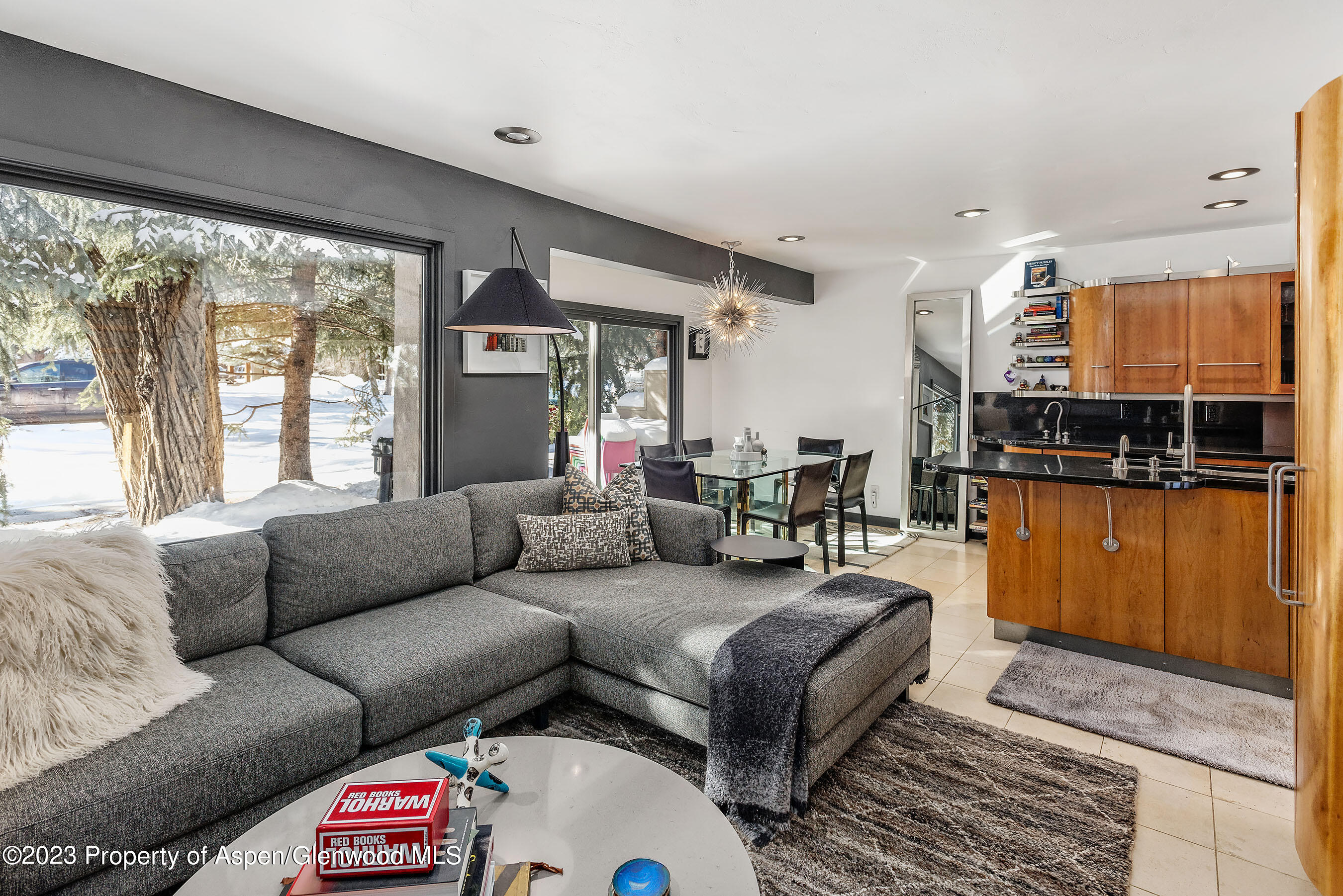 814 W Bleeker Street Aspen CO 81611
