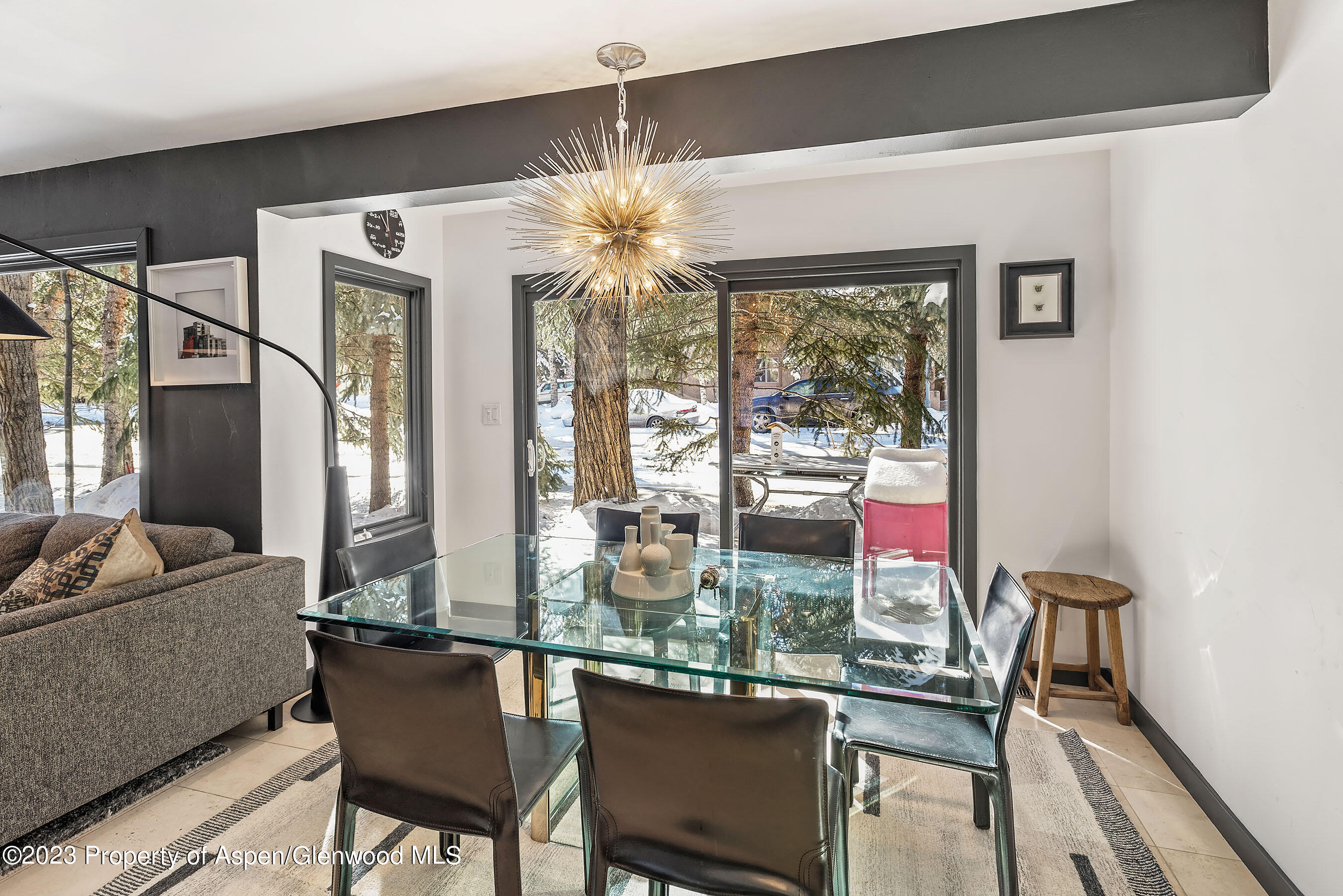 814 W Bleeker Street Aspen CO 81611