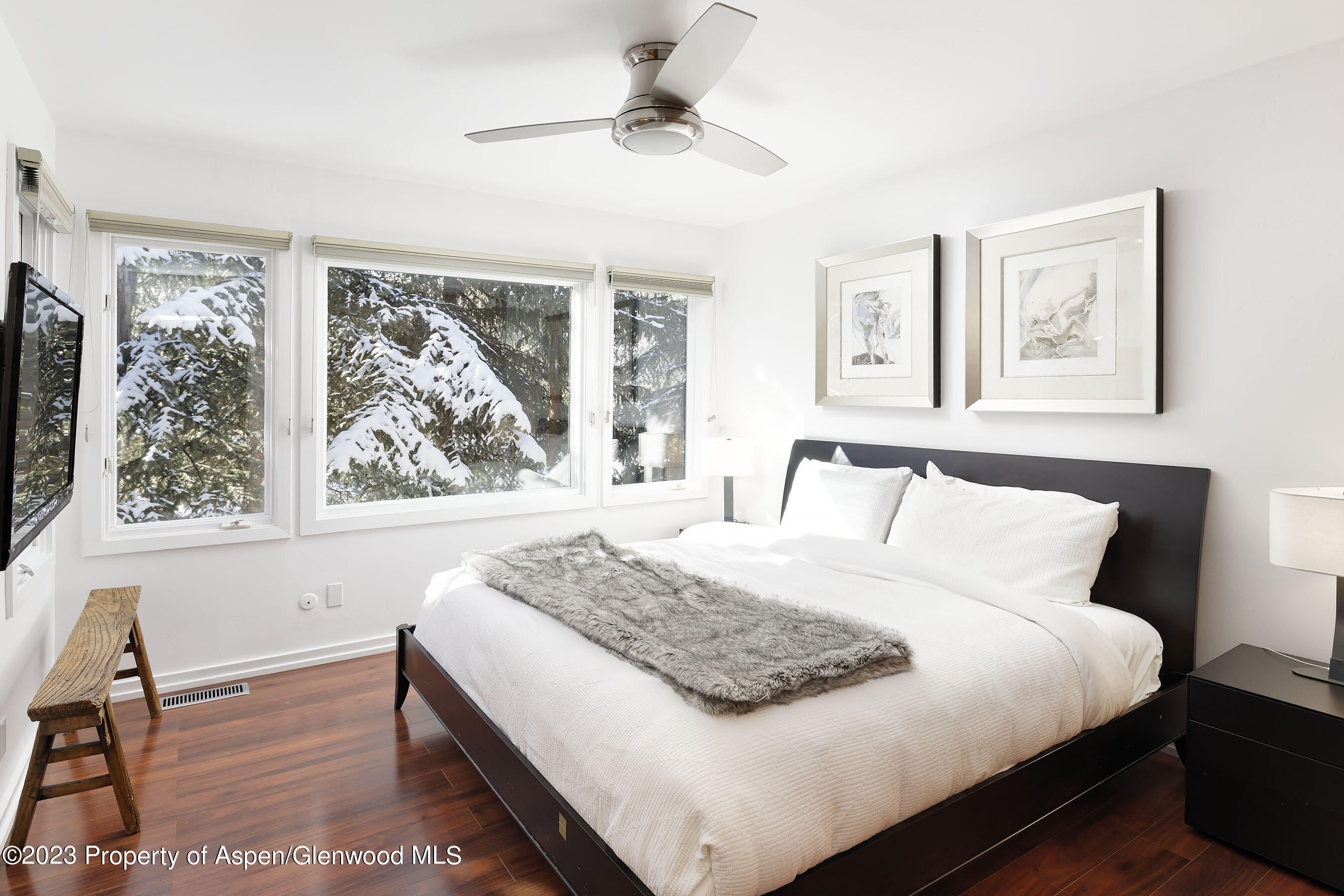 814 W Bleeker Street Aspen CO 81611