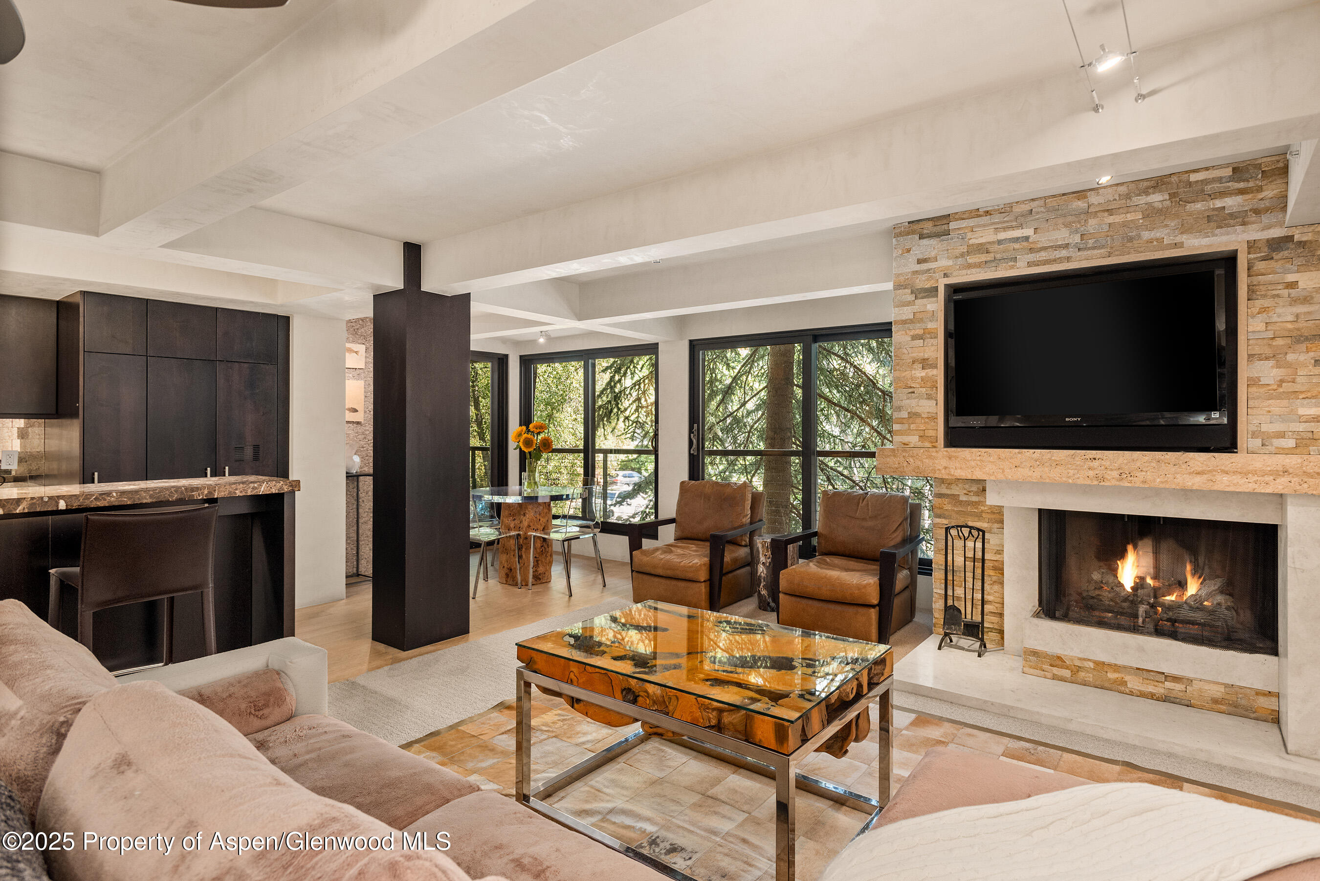 1034 E Cooper Avenue Aspen CO 81611