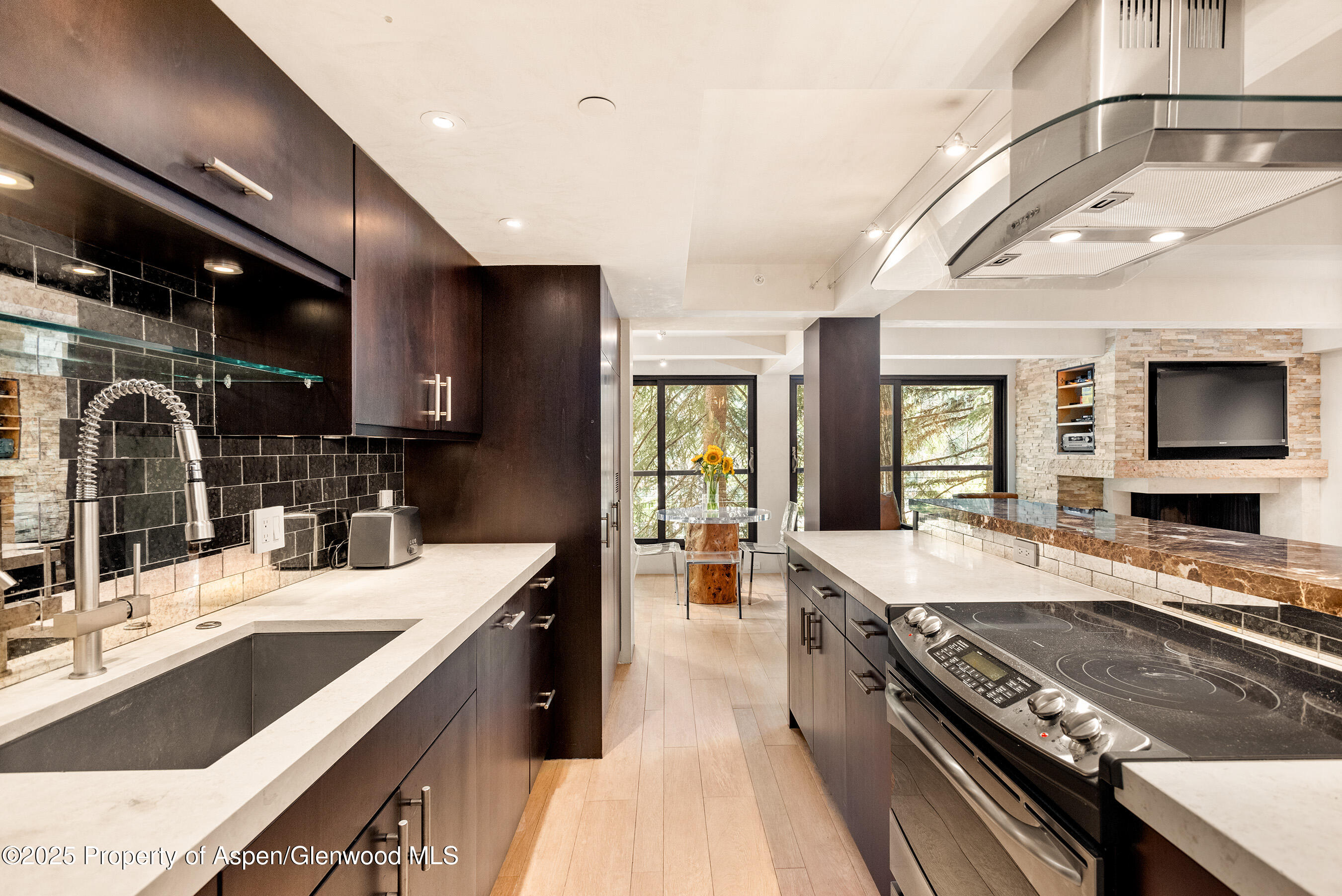 1034 E Cooper Avenue Aspen CO 81611