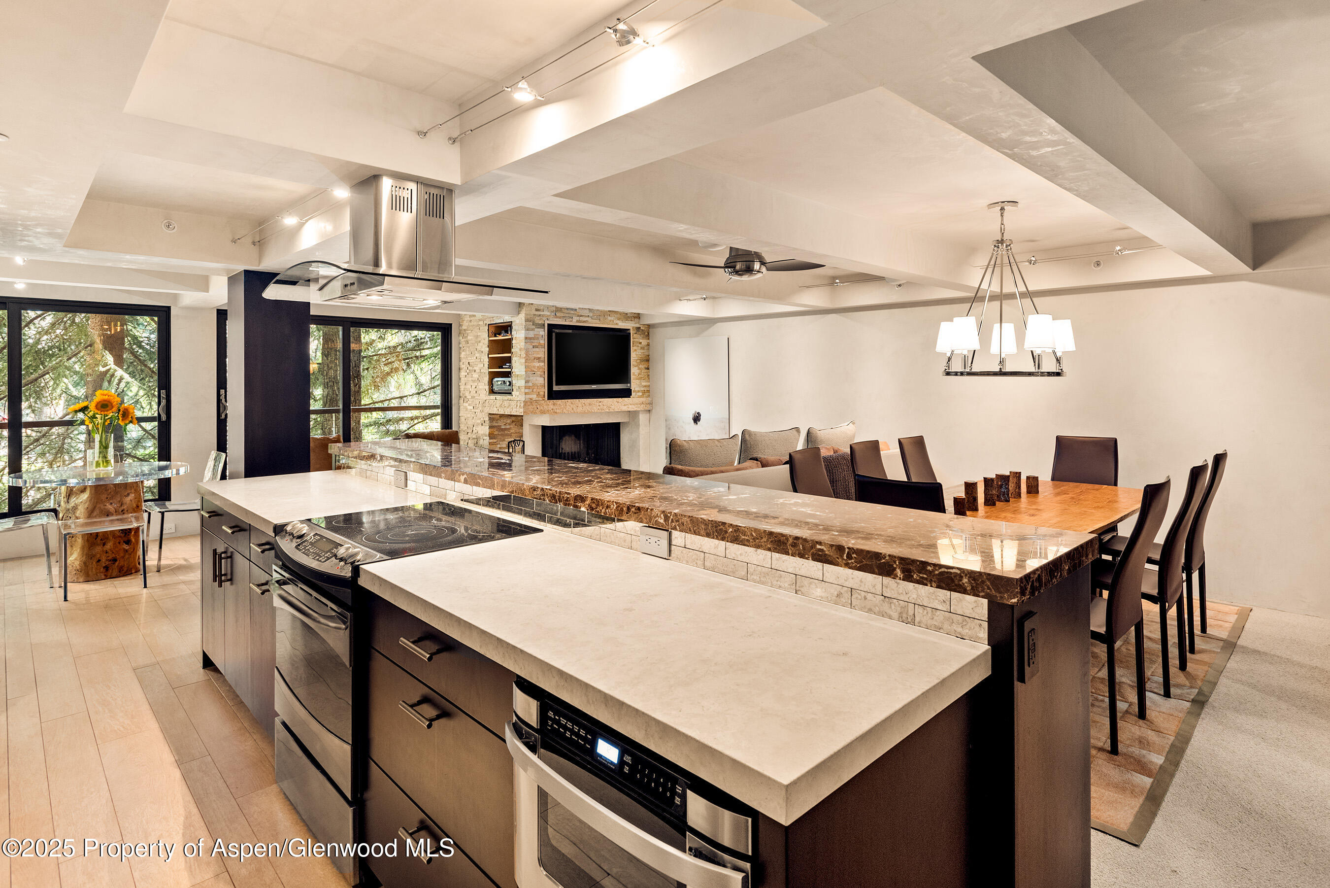 1034 E Cooper Avenue Aspen CO 81611