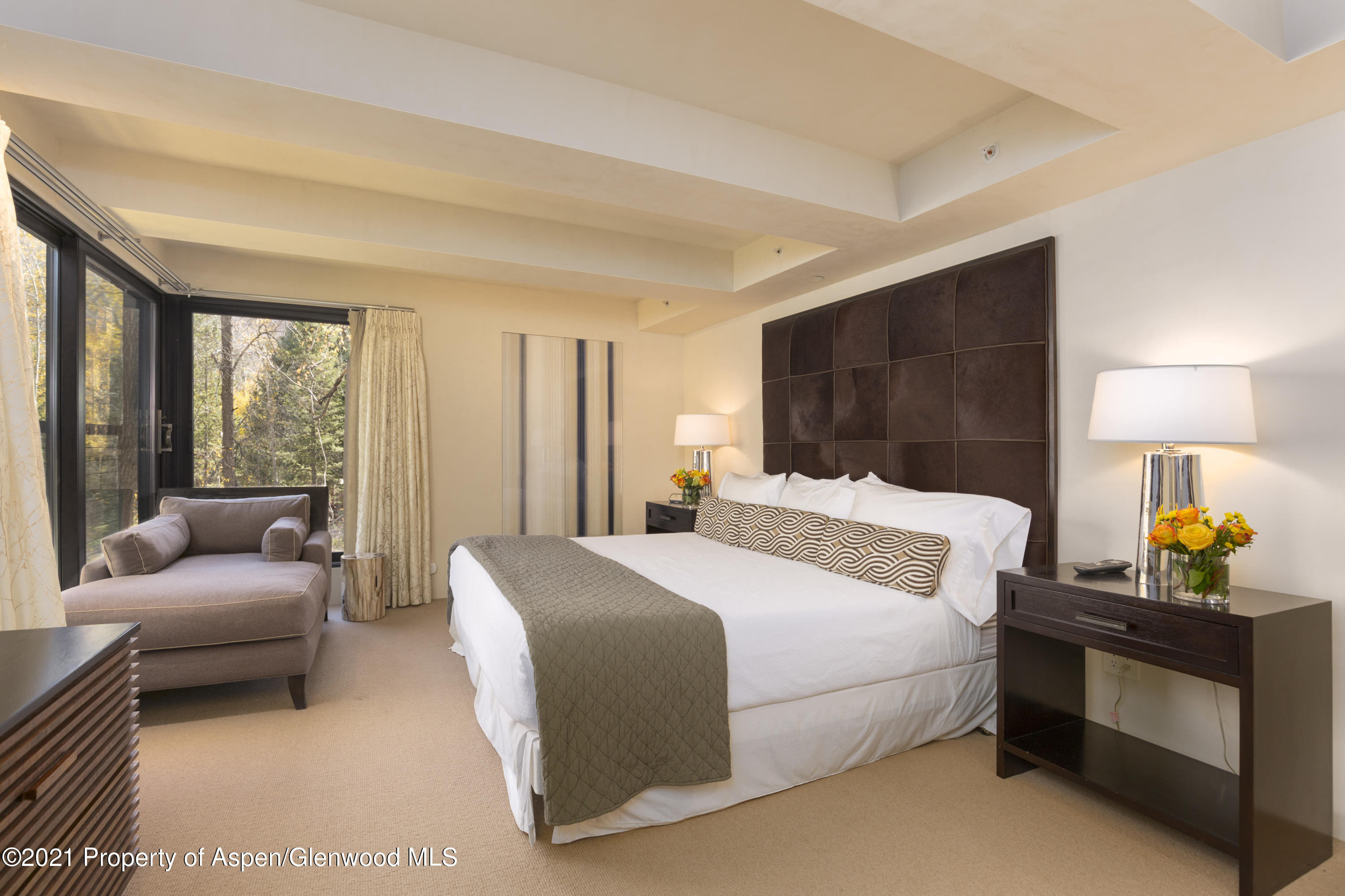 1034 E Cooper Avenue Aspen CO 81611