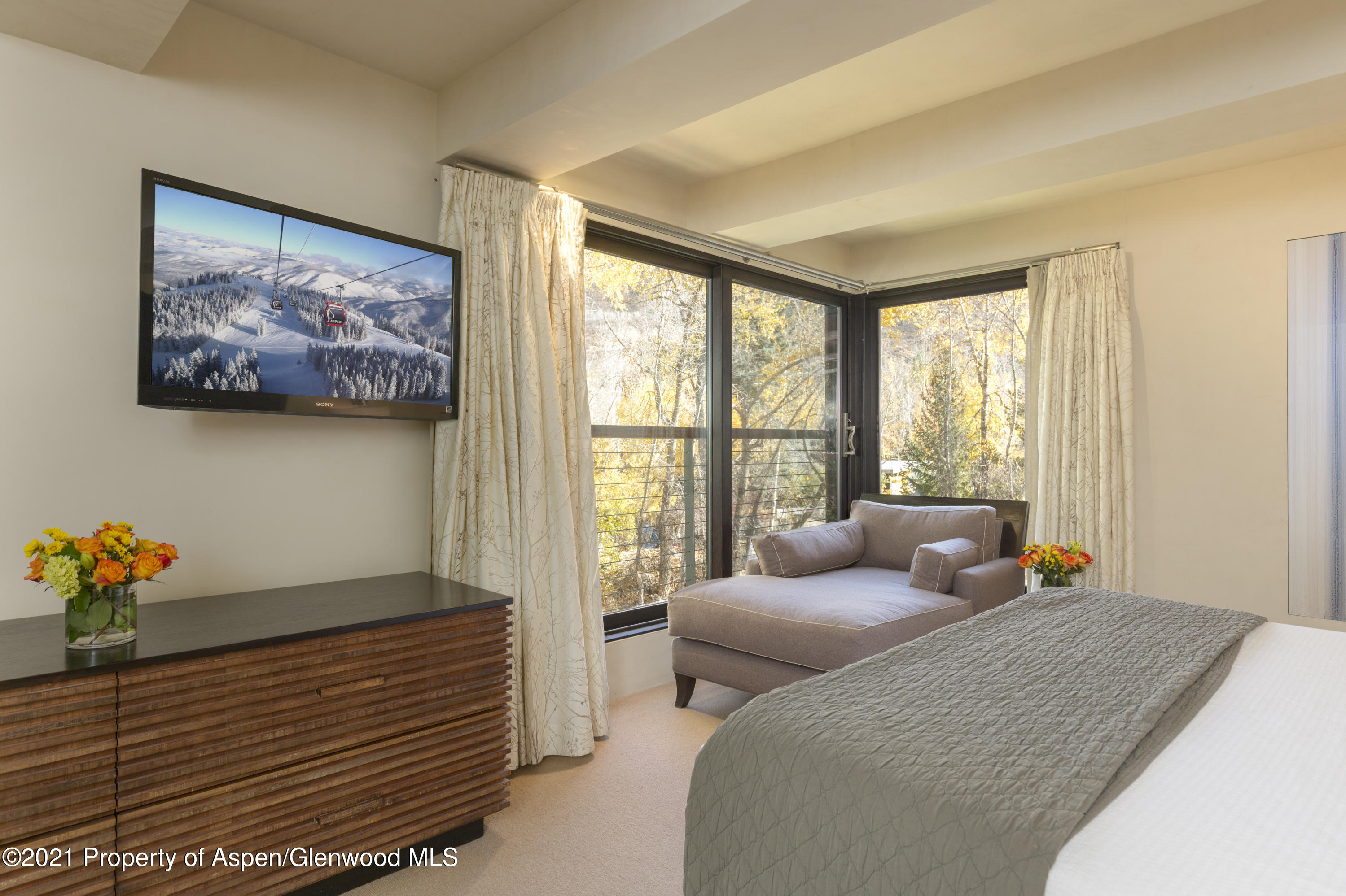 1034 E Cooper Avenue Aspen CO 81611