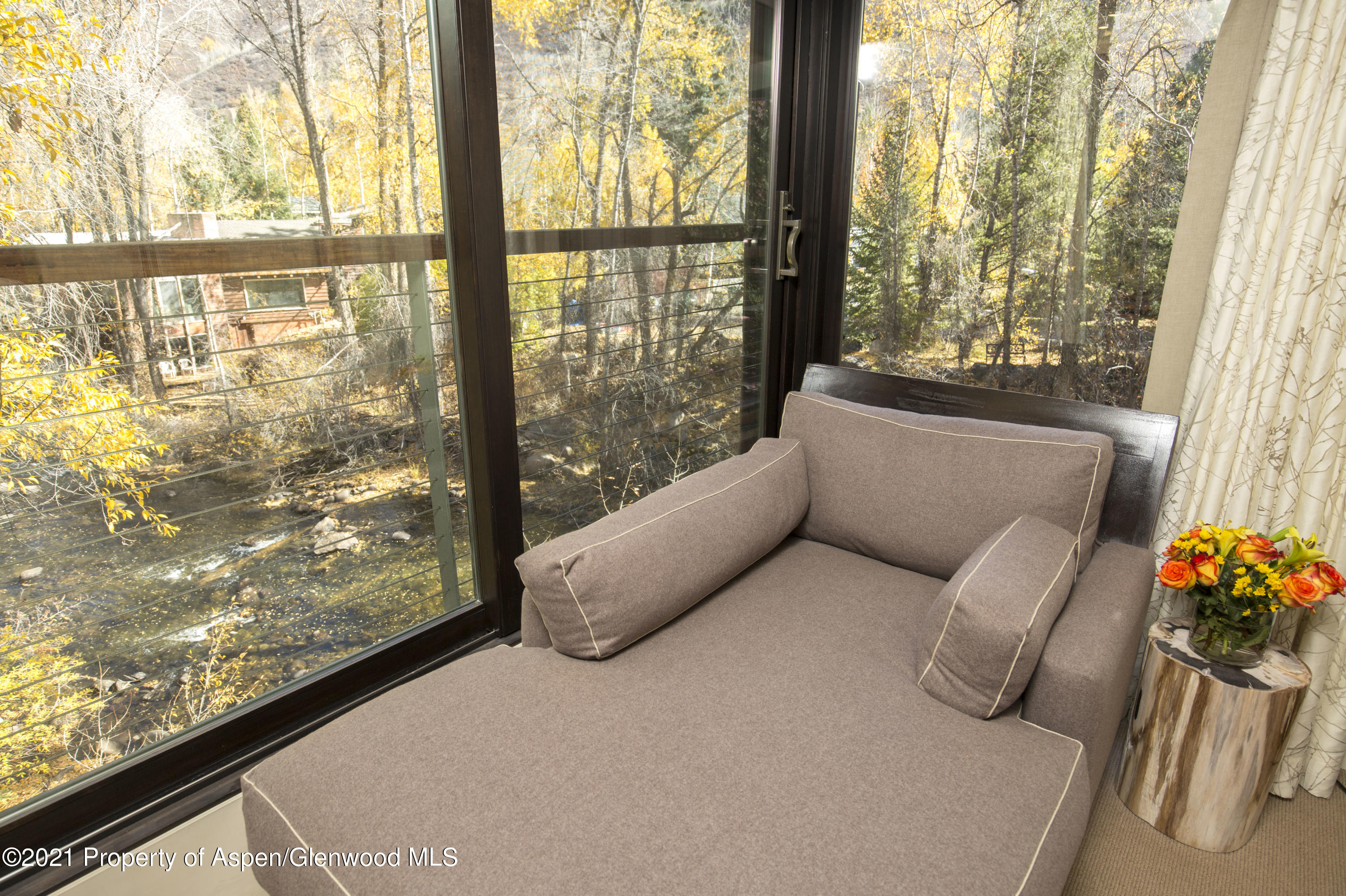 1034 E Cooper Avenue Aspen CO 81611