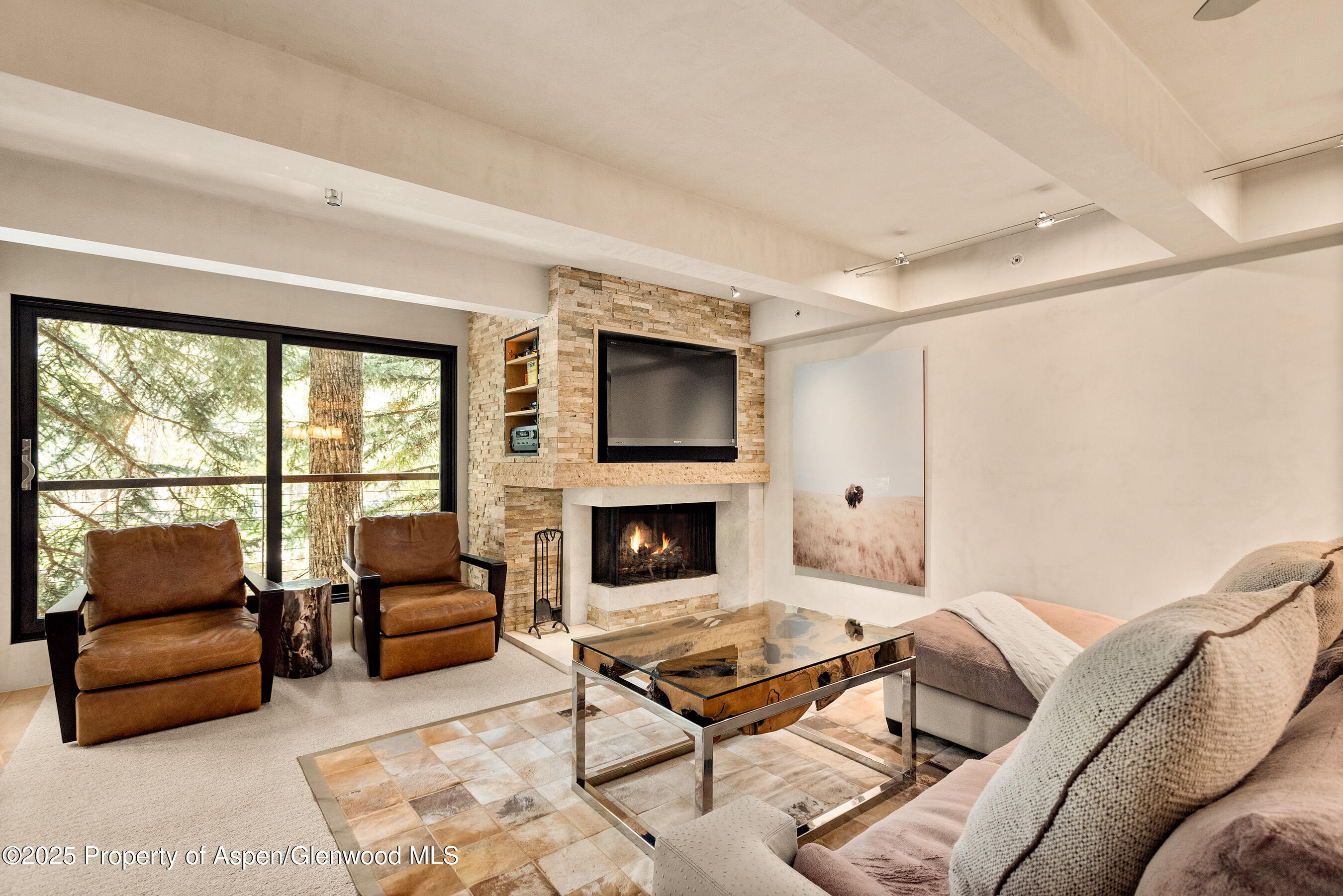 1034 E Cooper Avenue Aspen CO 81611